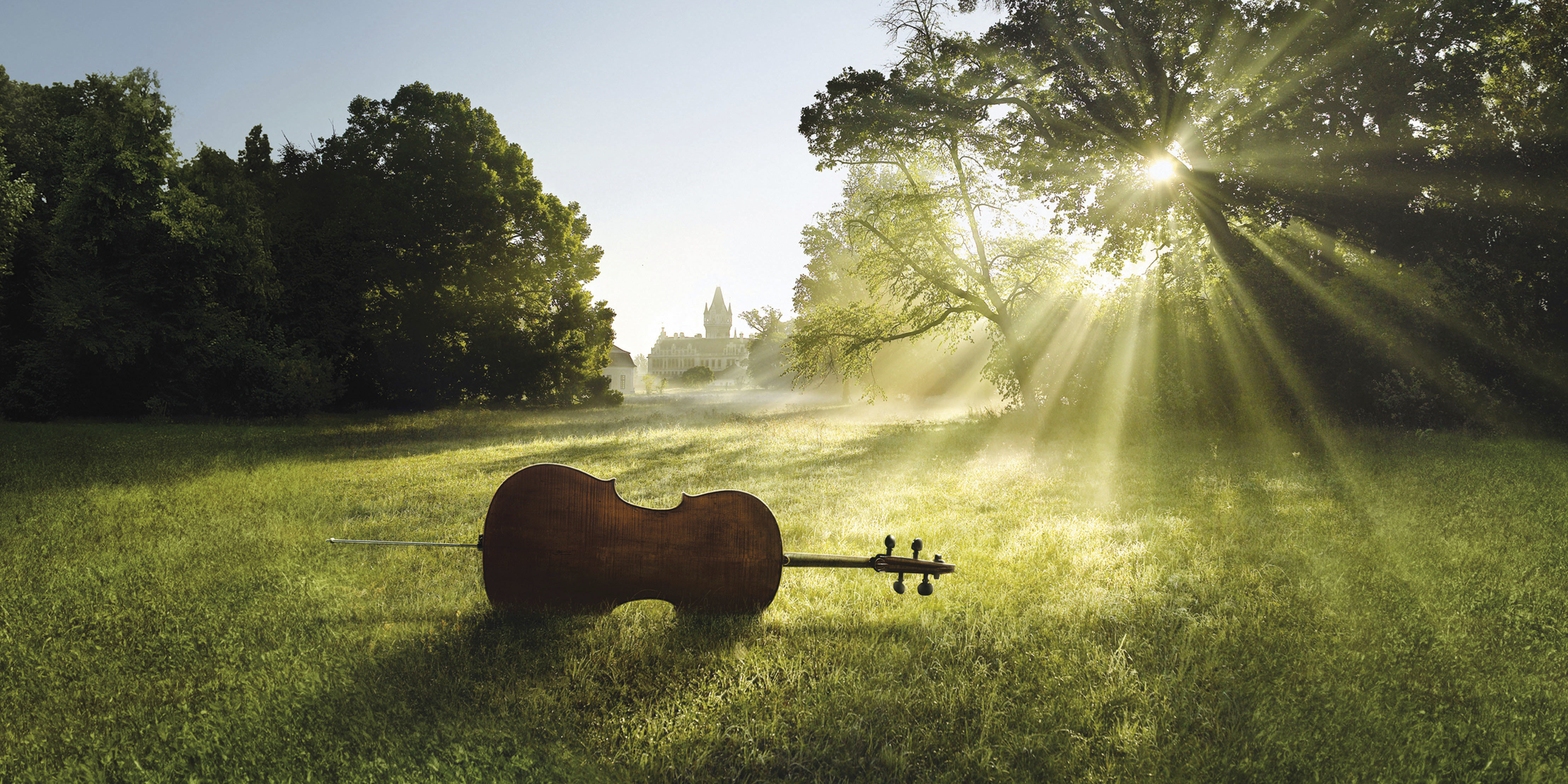 Музыка вторая жизнь. Природа. Музыкальный пейзаж. Скрипка на природе. Виолончель на природе.