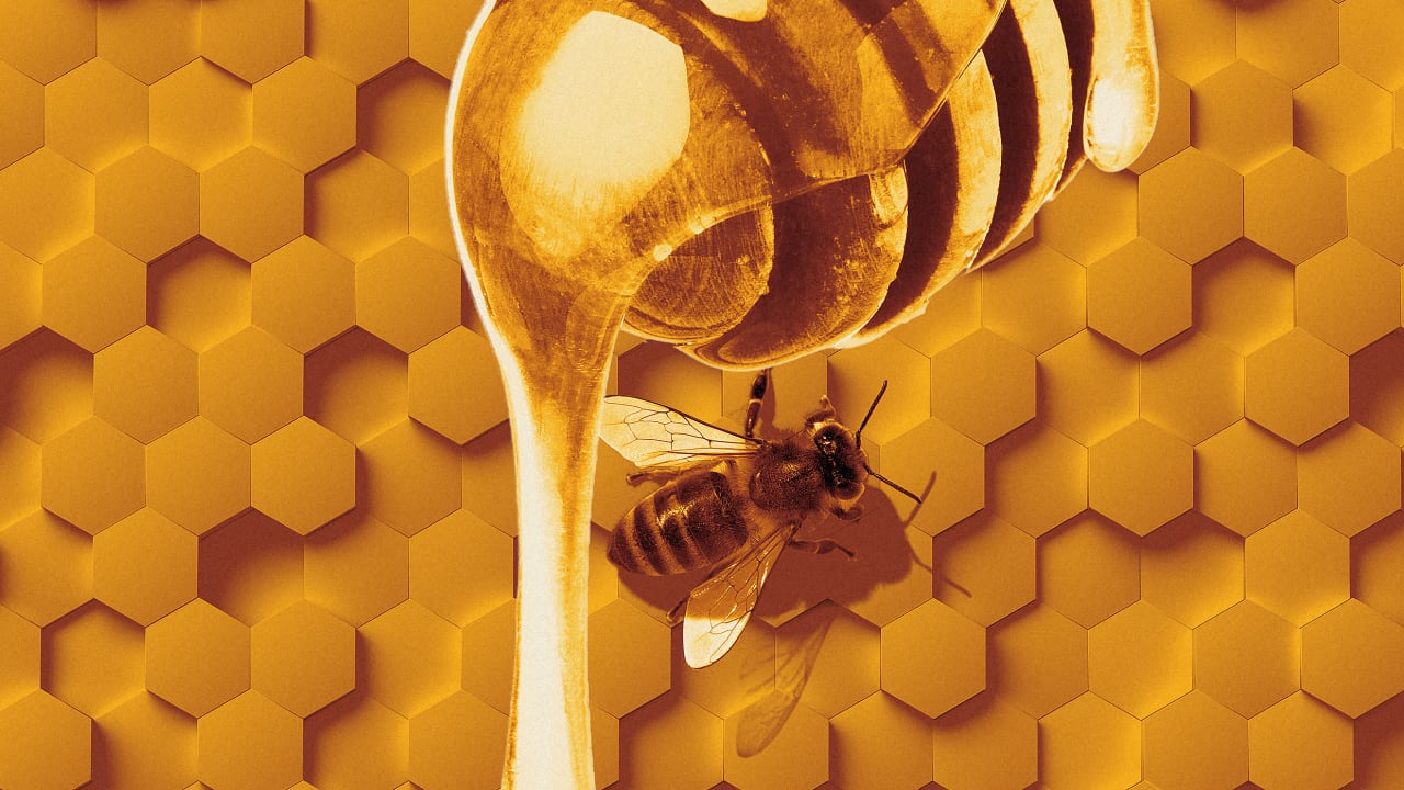 Фон с сотами и пчелами