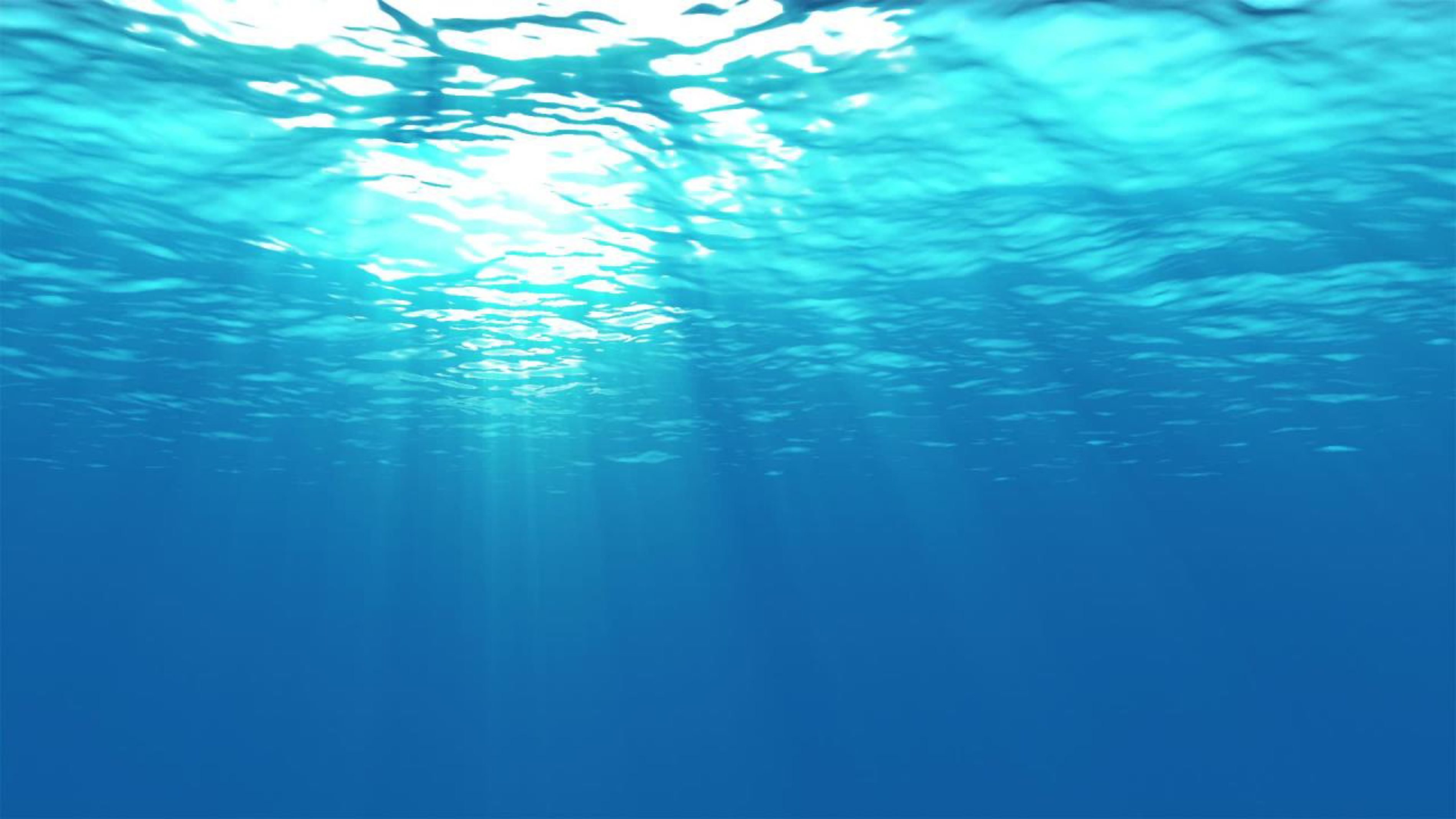 Into the water below. Океан под водой. Море под водой. Морские глубины. Океан внутри.