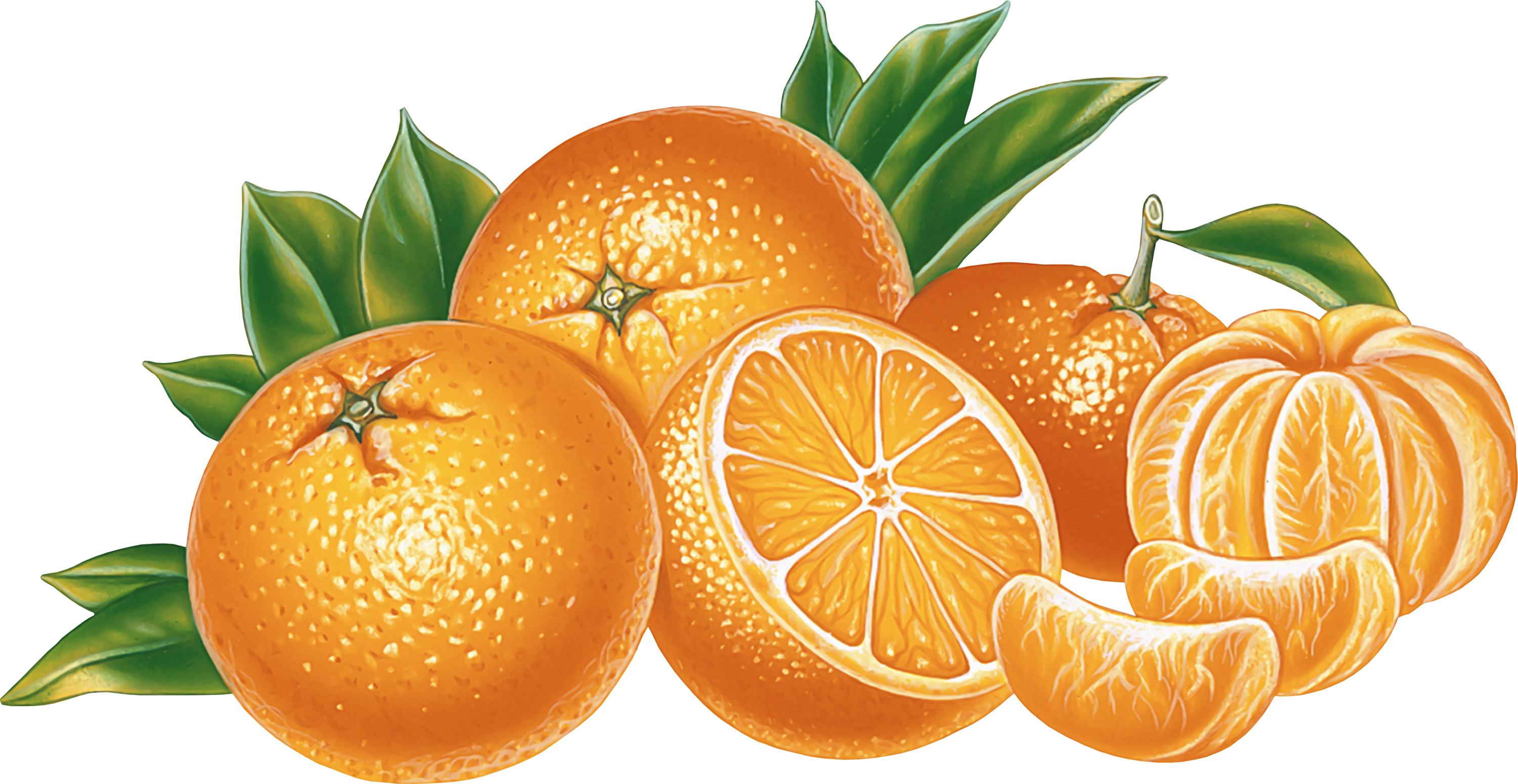 Апельсин картинка для детей на прозрачном фоне. Апельсины мультяшные. Апельсин вектор. Мандарин. Мандарин мультяшный.