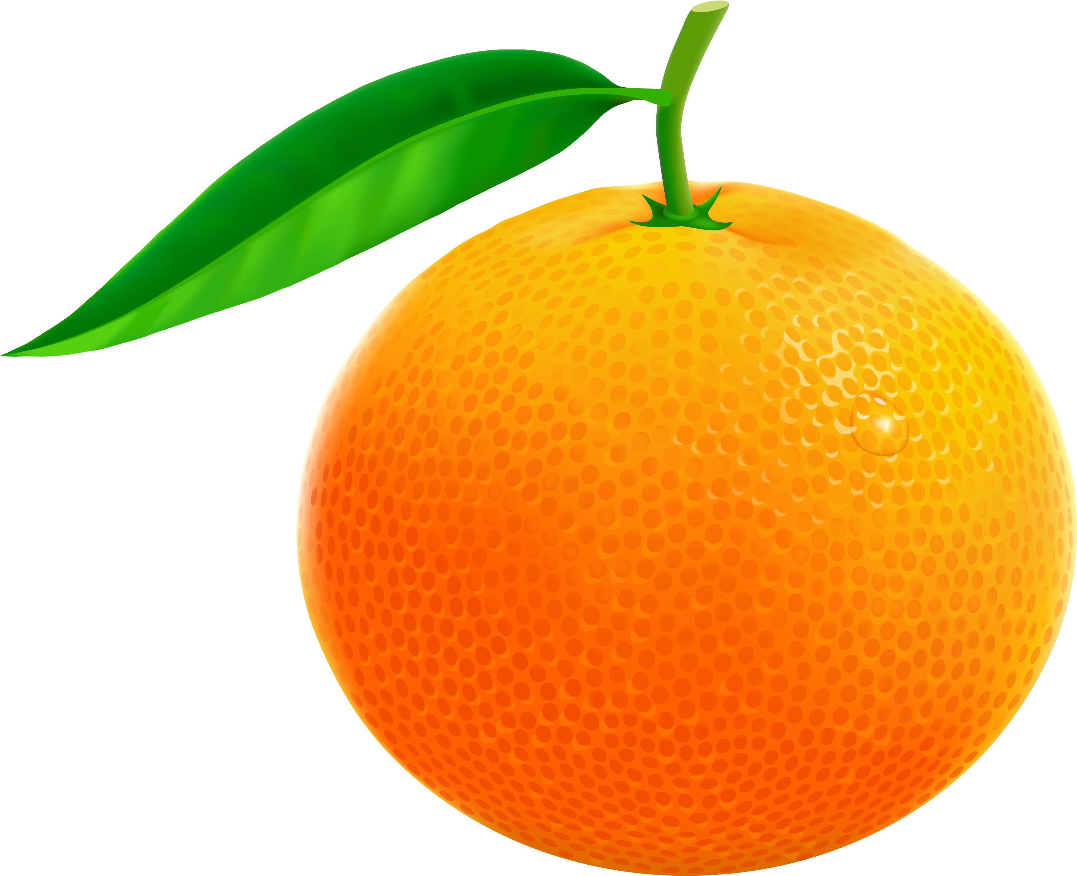 Апельсины картинка на прозрачном. Апельсин. Фрукты на прозрачном фоне. Фрукты без фона. Апельсины мультяшные.