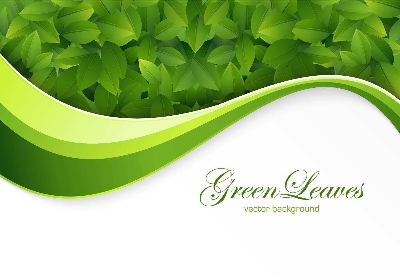 Зеленый баннер