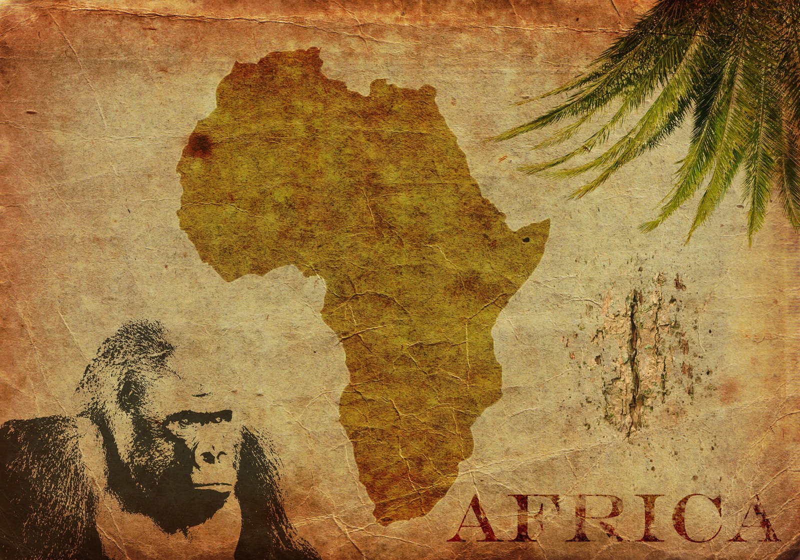 Африка фон для презентации