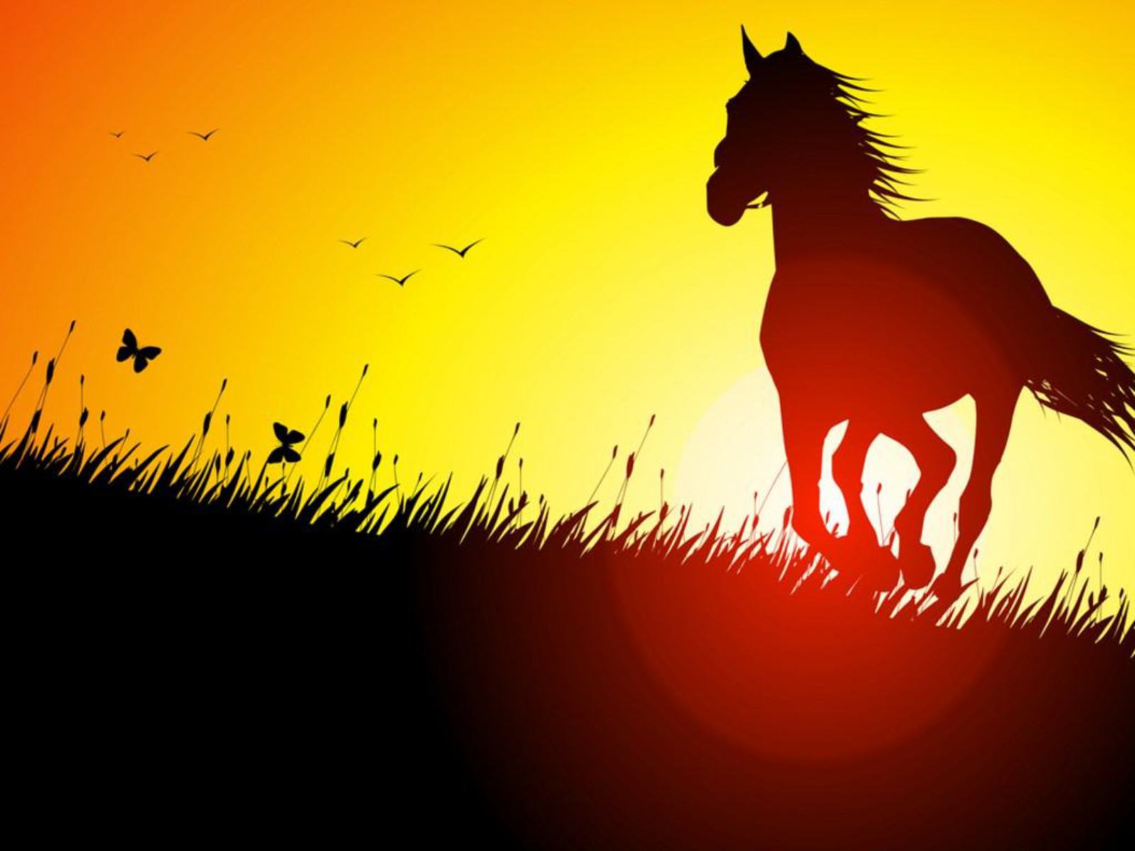Лошадь и солнце