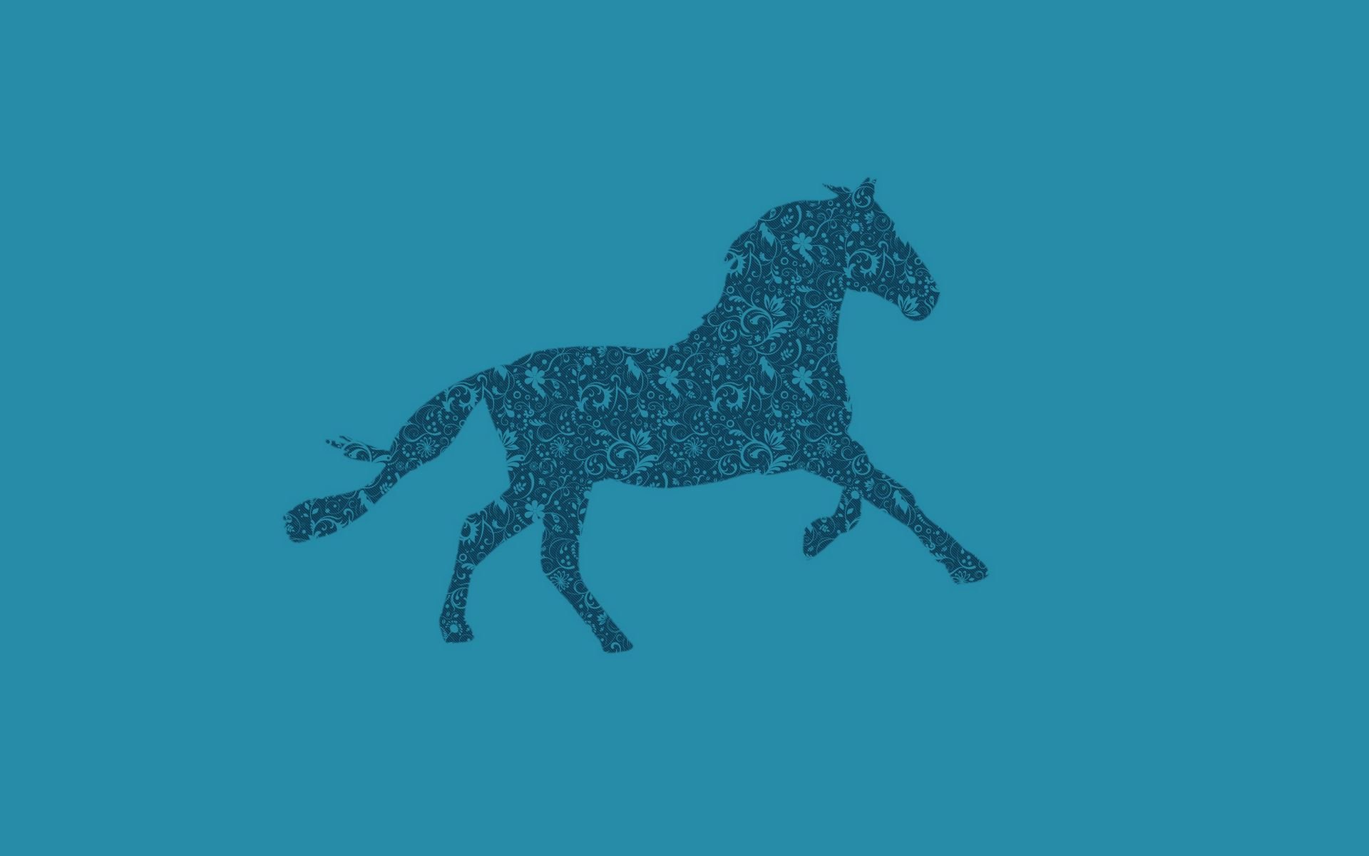 Лошадь на однотонном фоне