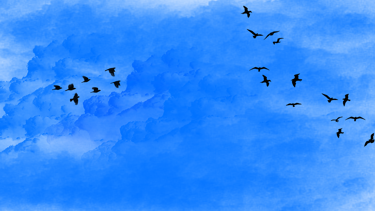 Глянь на небо птички летят колокольчики. Птицы в небе. Птицы в голубом небе. Голуби в небе. Птицы на фоне неба.