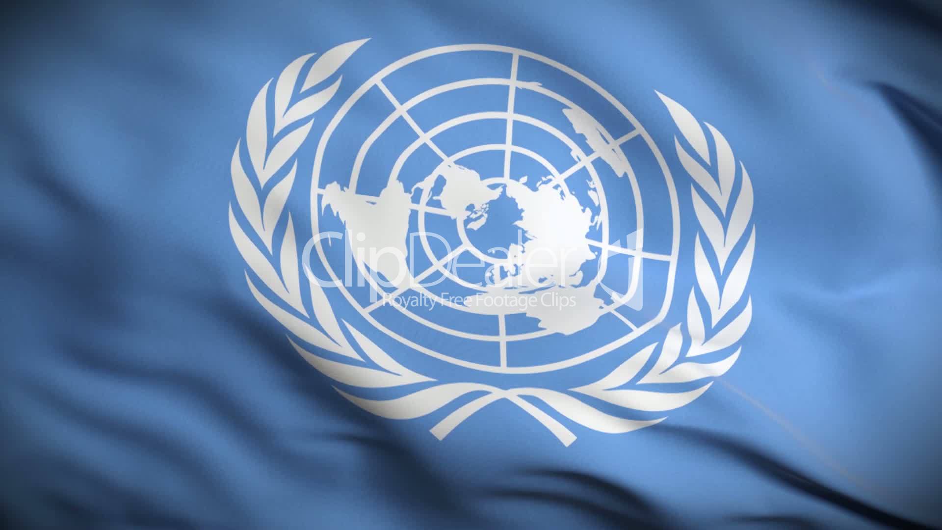 Организация Объединённых наций