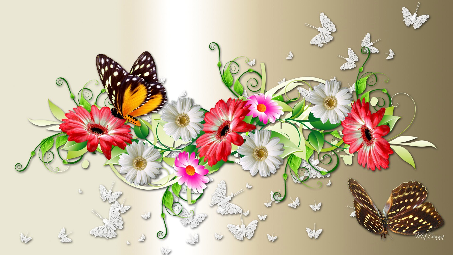 Бабочка обложка. Бабочка на цветке. Обои на рабочий стол бабочки. Красивый фон с бабочками. Картинки цветов и бабочек.