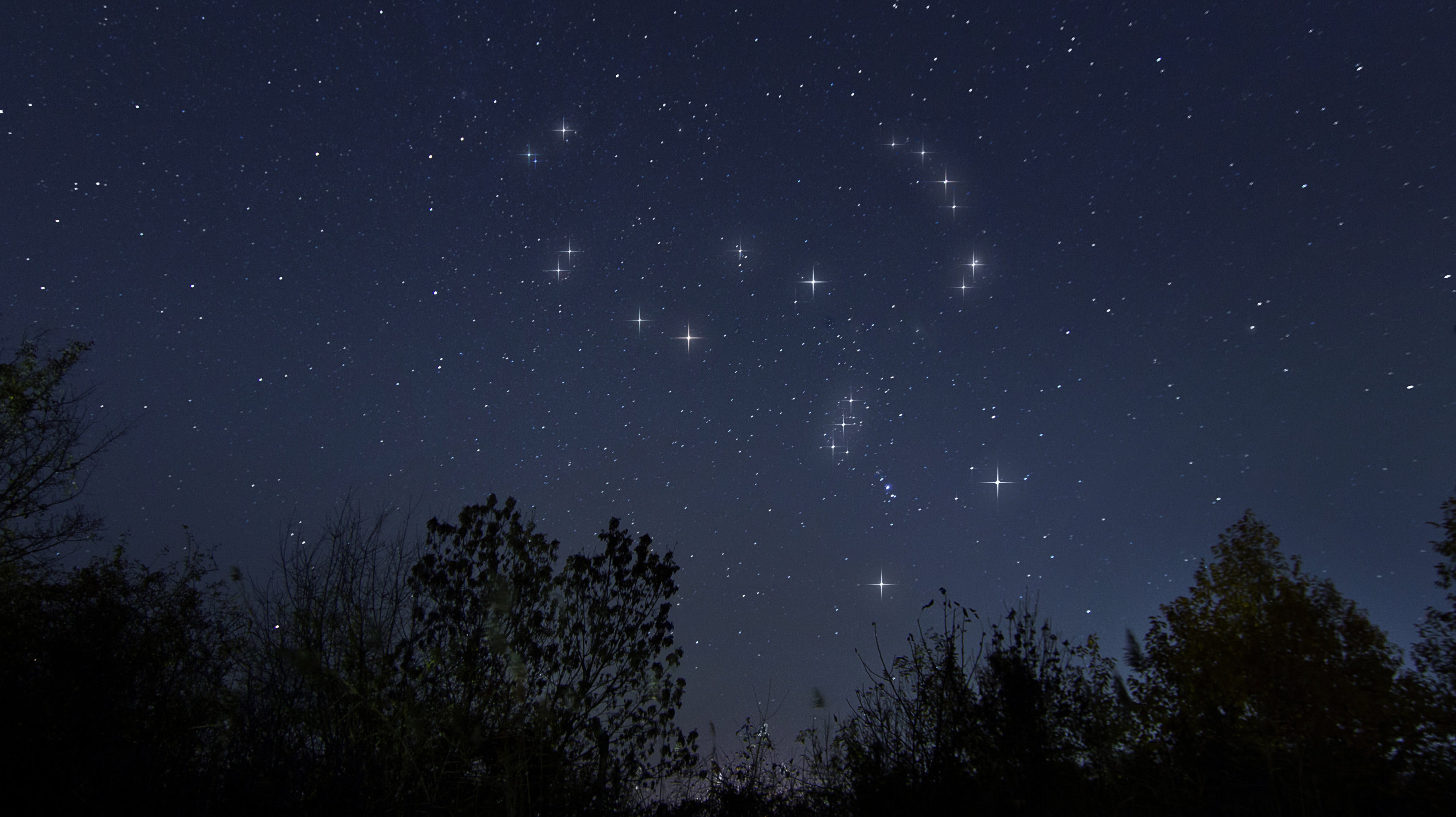 Созвездие Ориона в ночном небе