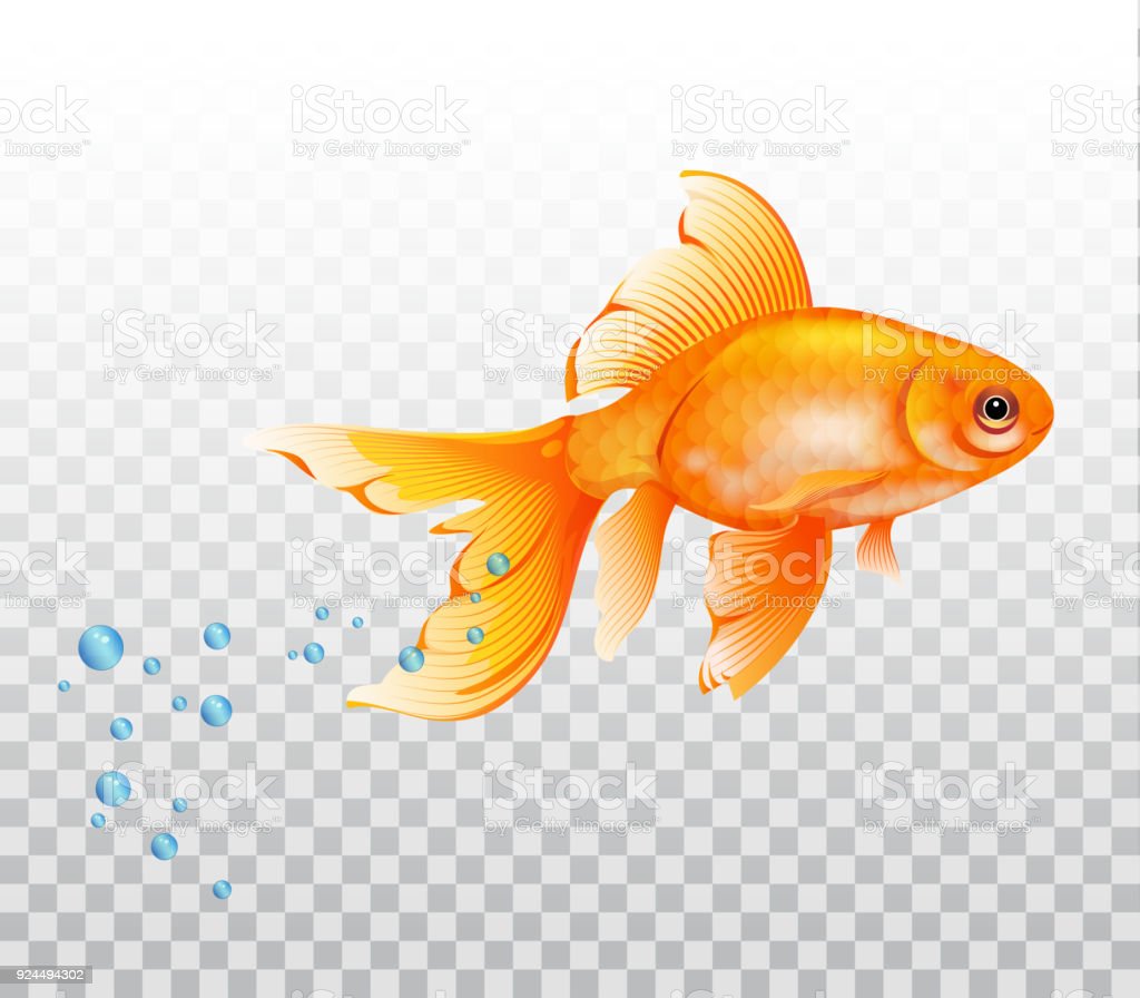 Золотая рыбка на удочке