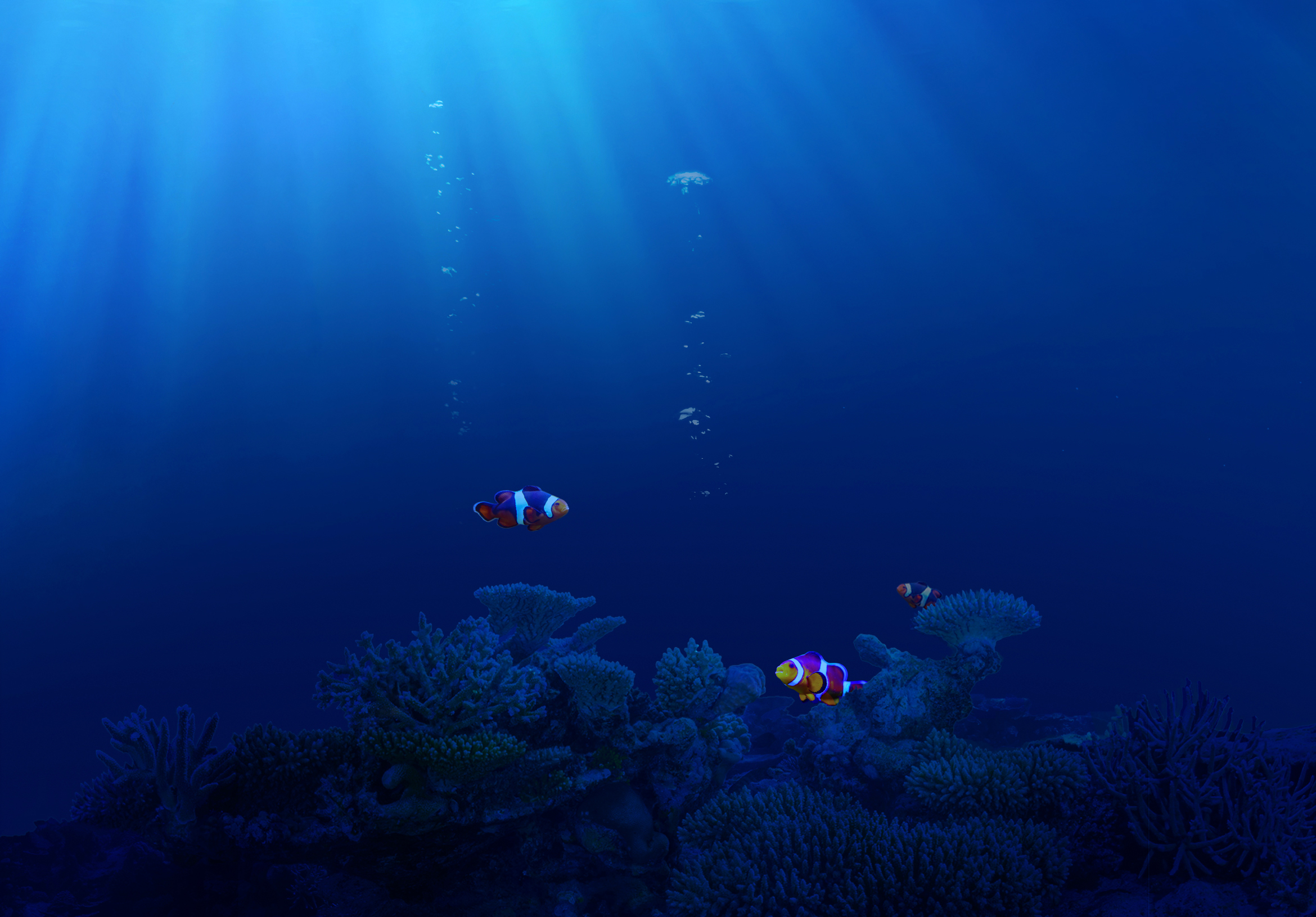 Немо тихий океан. Дно океана. Океаны. Глубина. Морские глубины. Подводный пейзаж.