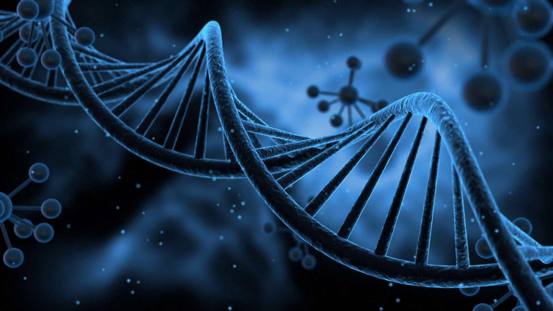 ДНК фиолетовый