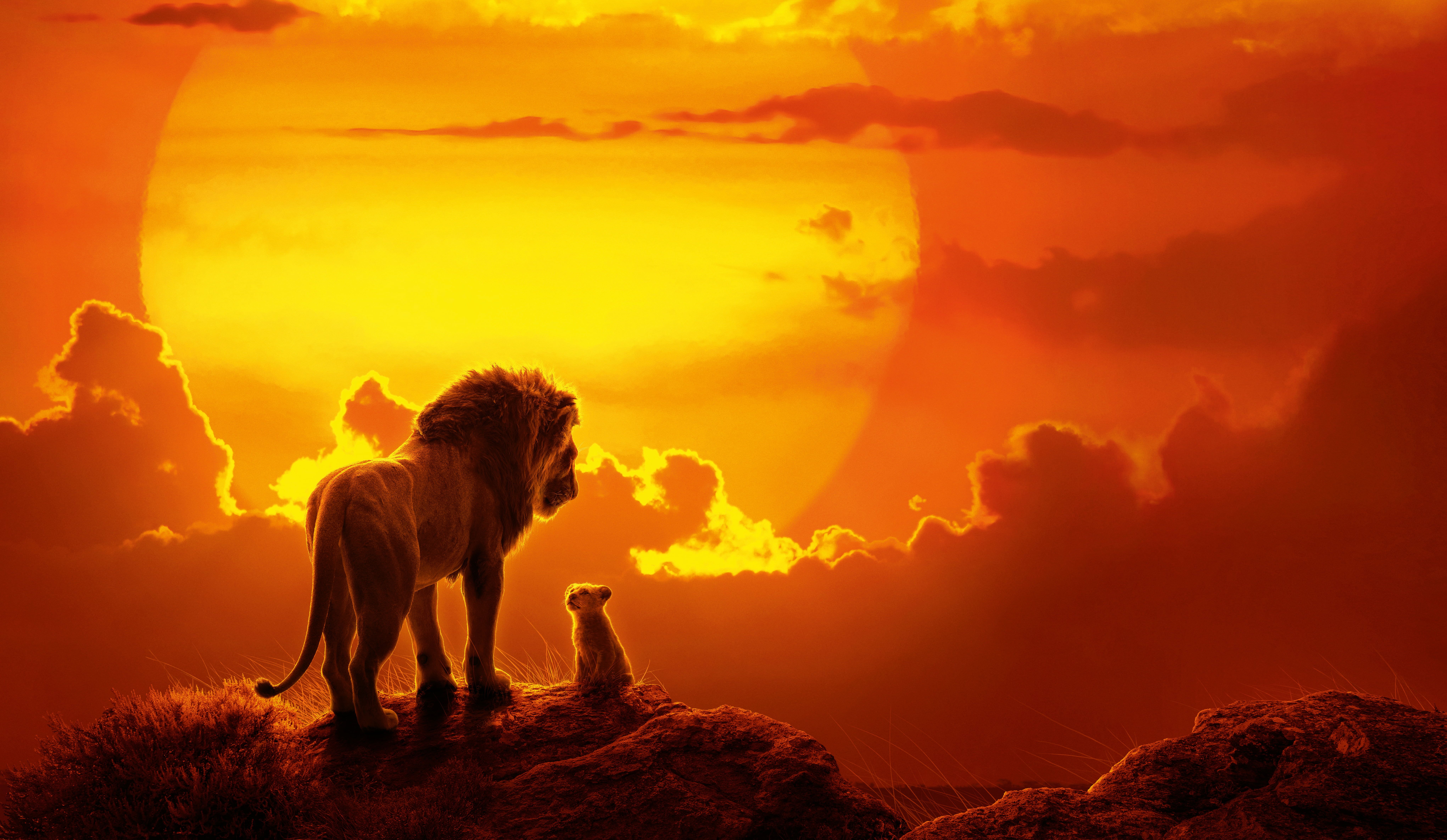 Король Лев и Симба на закате