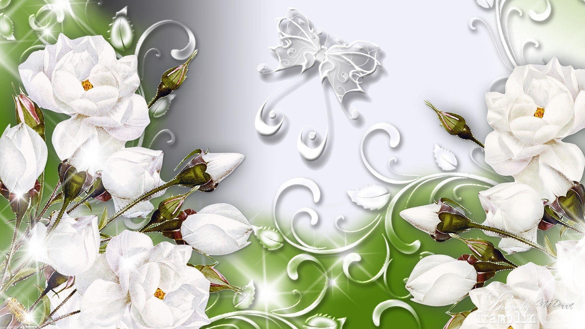 Цветы на белом фоне для фотошопа