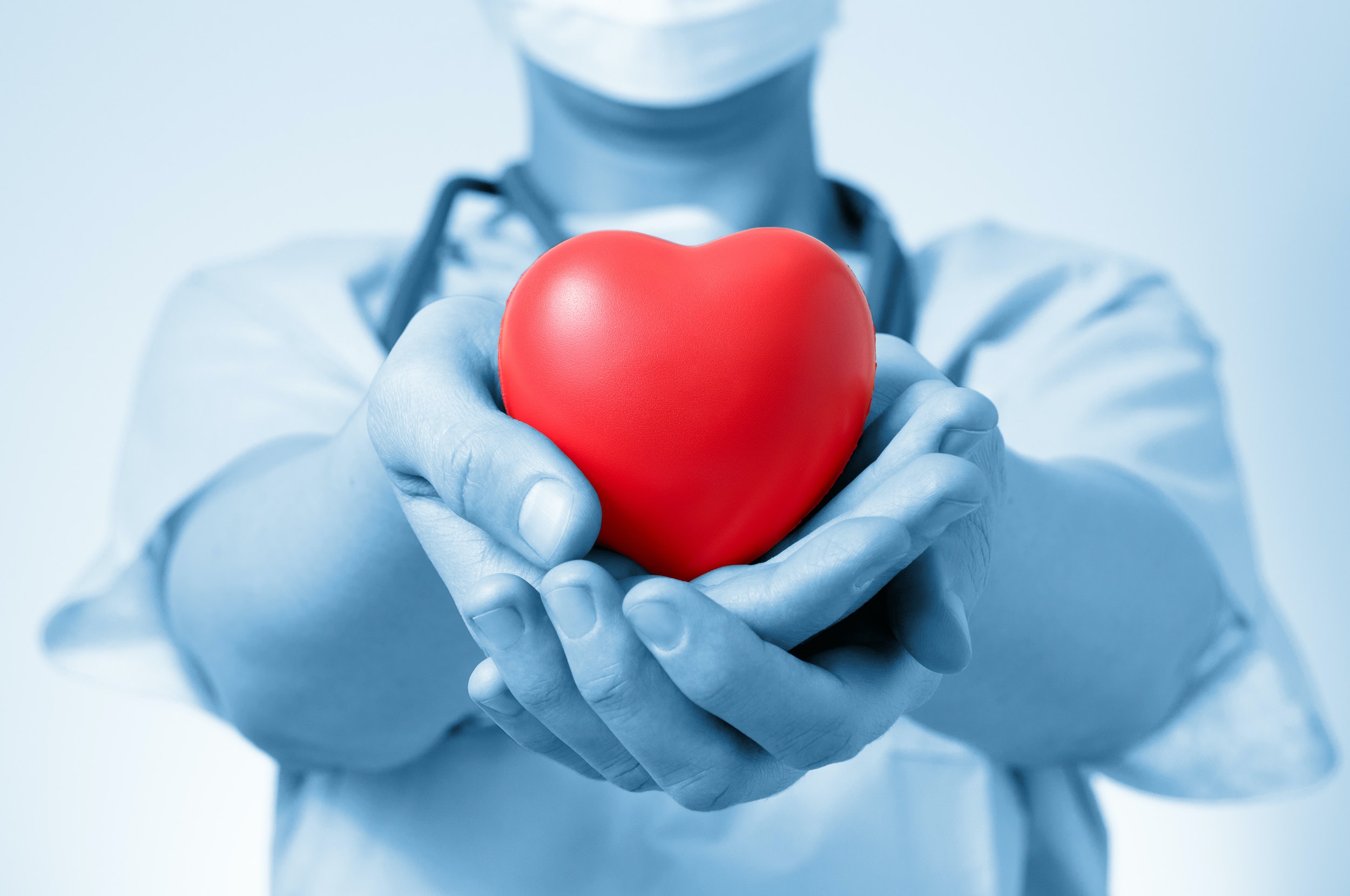 Сердце в руках медицина