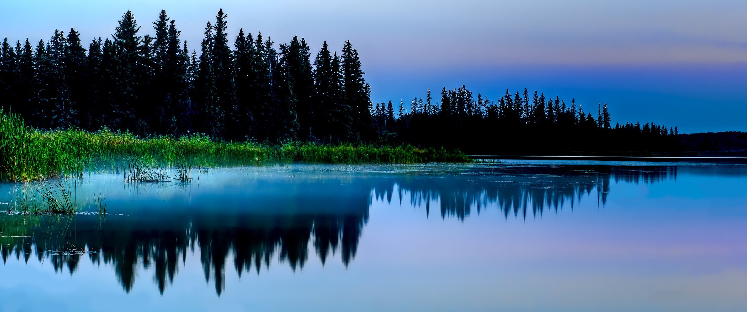 Живая вода озера. Природа. Озеро в лесу. Природа лес озеро. Отражение в озере.