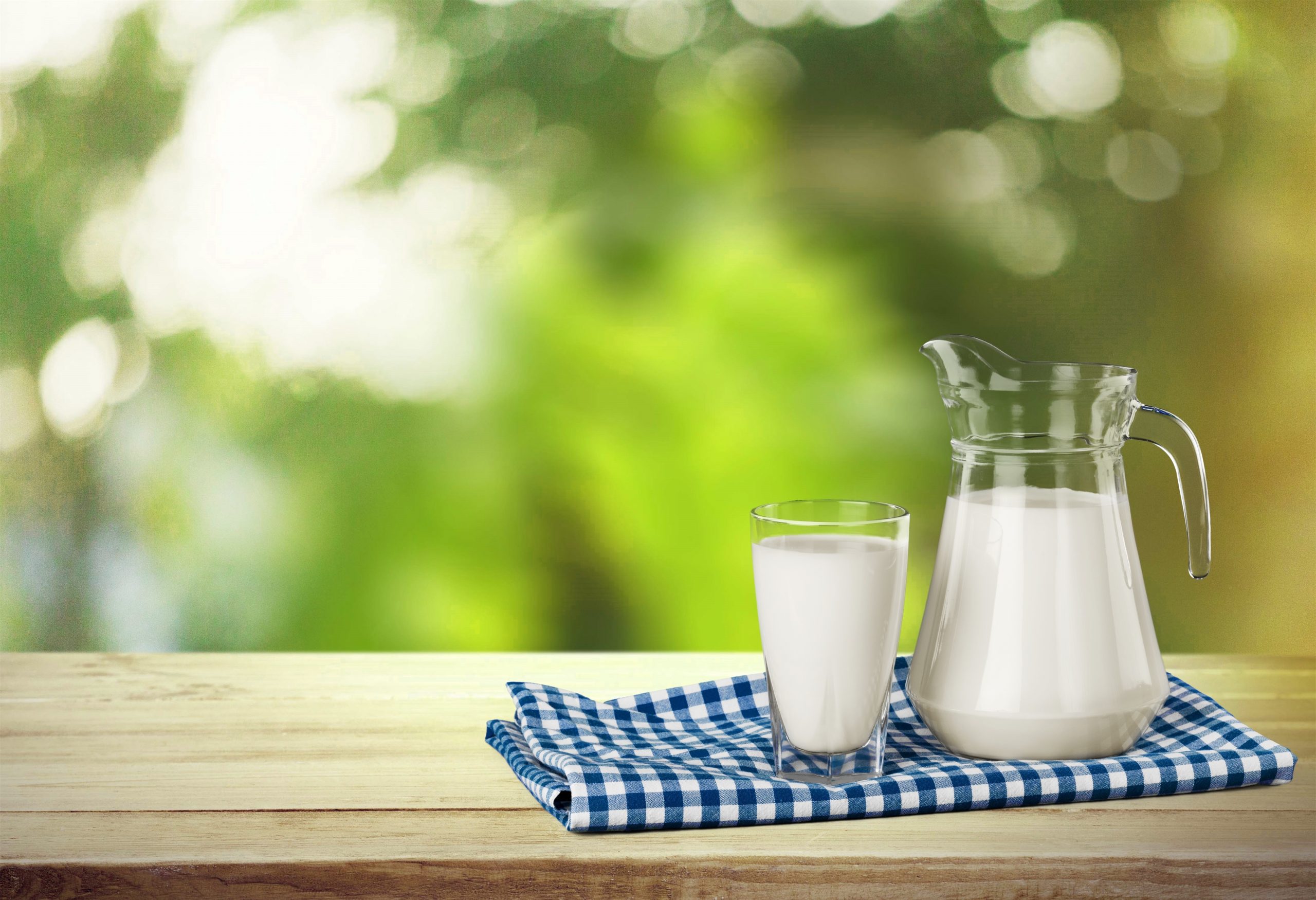 Qué proteína tiene la leche