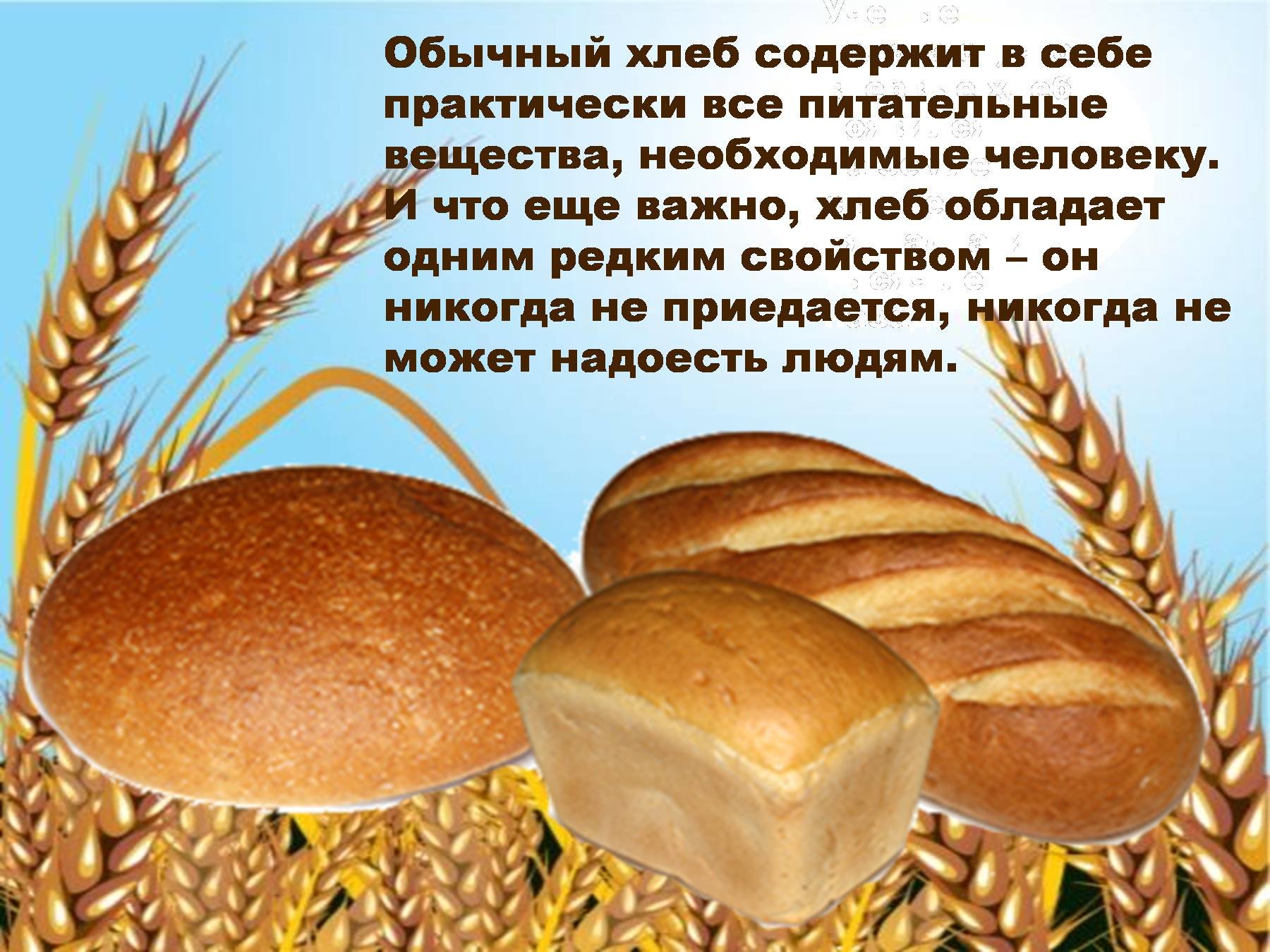 откуда хлеб пришел картинки для детей