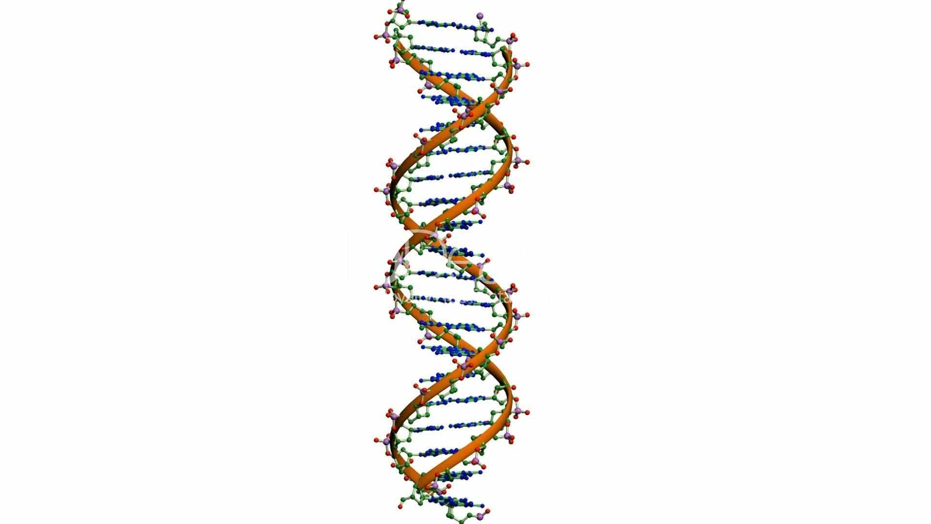 Молекула ДНК на белом фоне