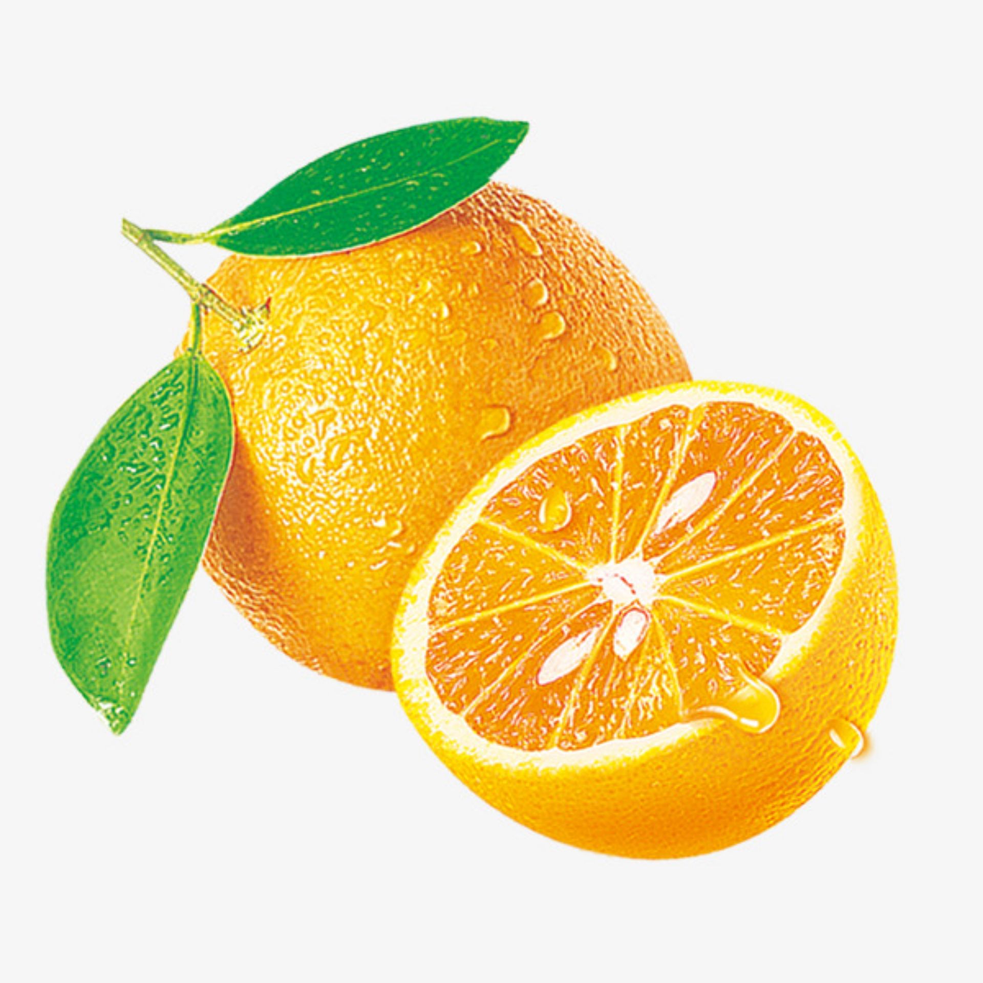 Лимон и апельсин на белом фоне