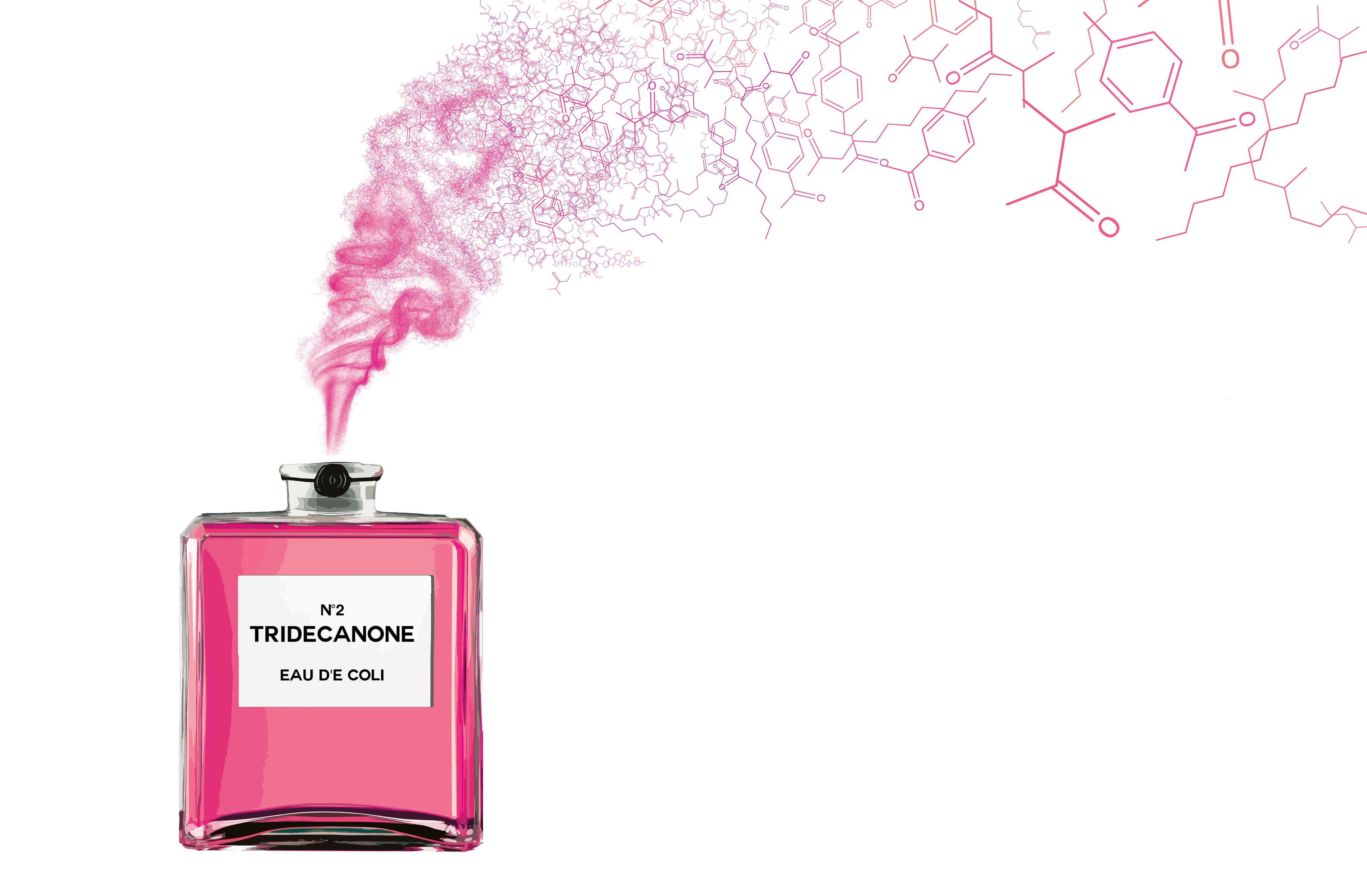 Химия в парфюмерии