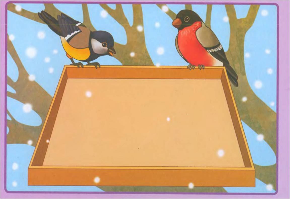 Корм зимующих птицах для дошкольников
