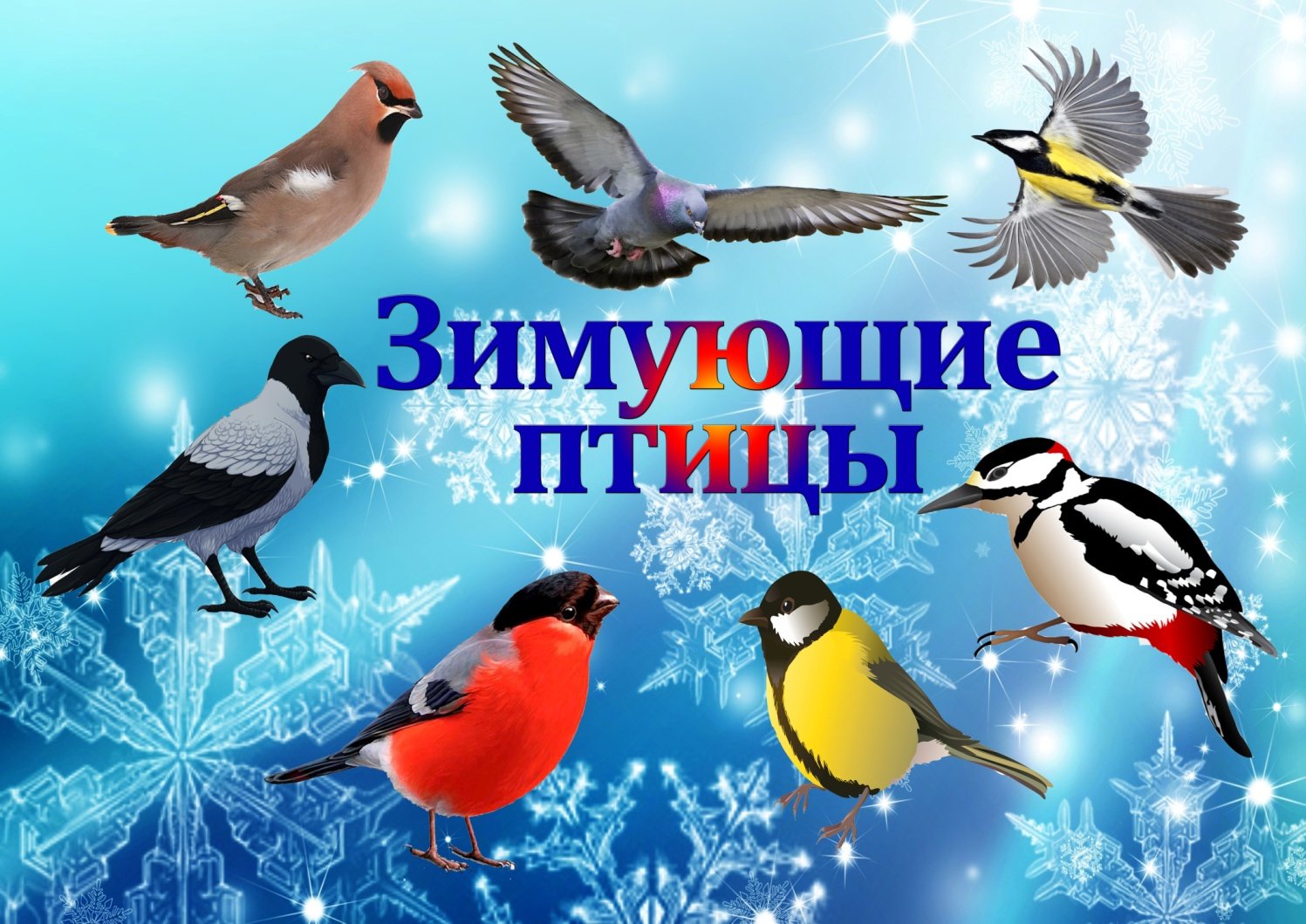 Зимующие птицы России