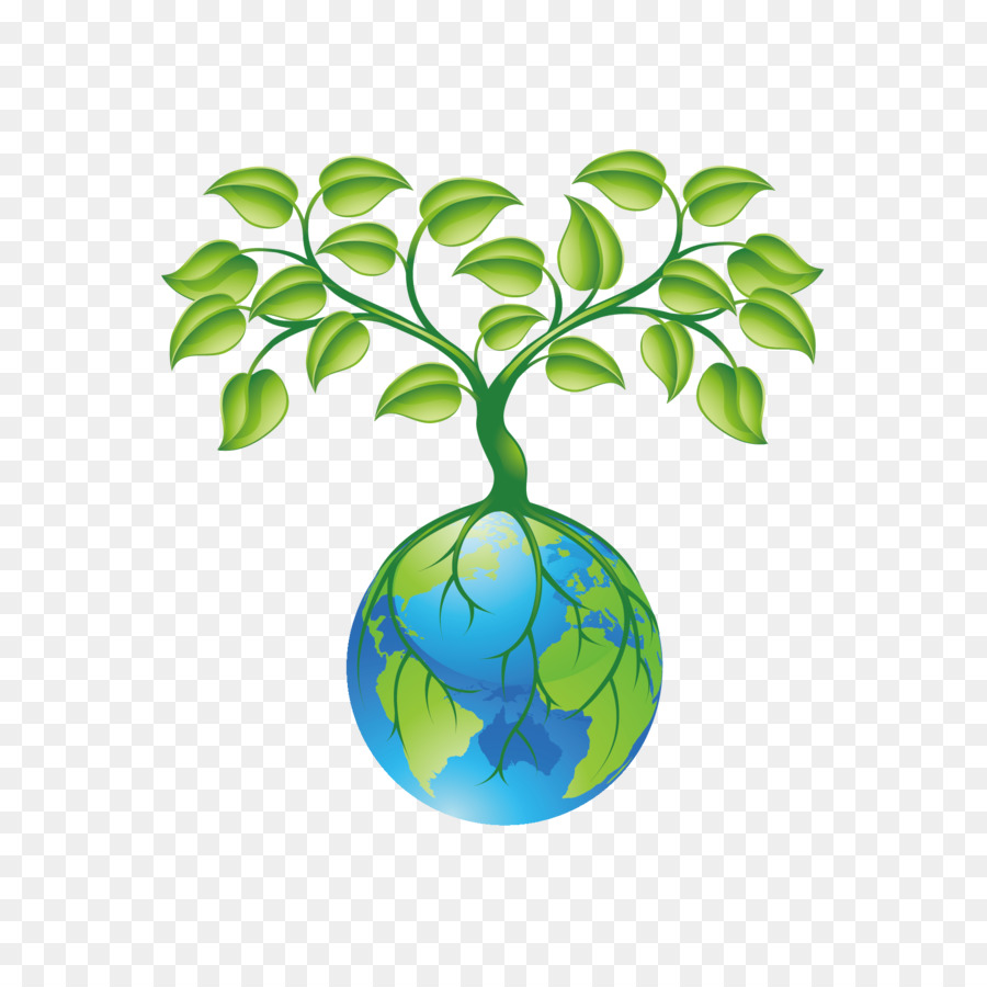 Экологическое дерево