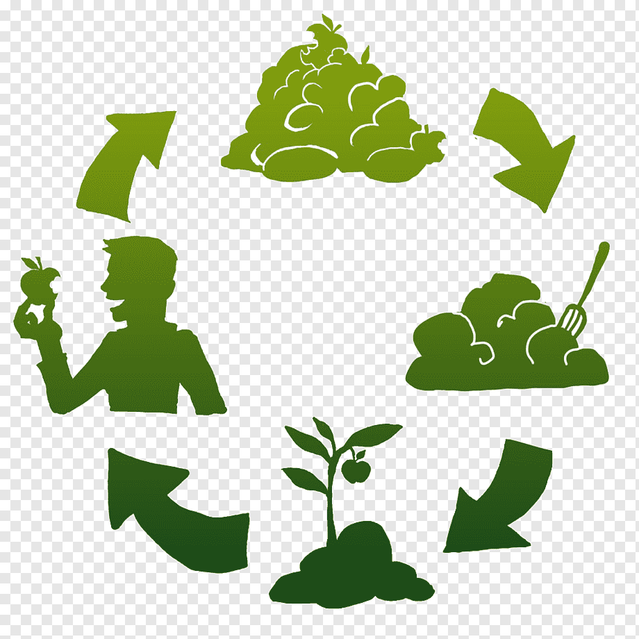 Утилизация органических отходов