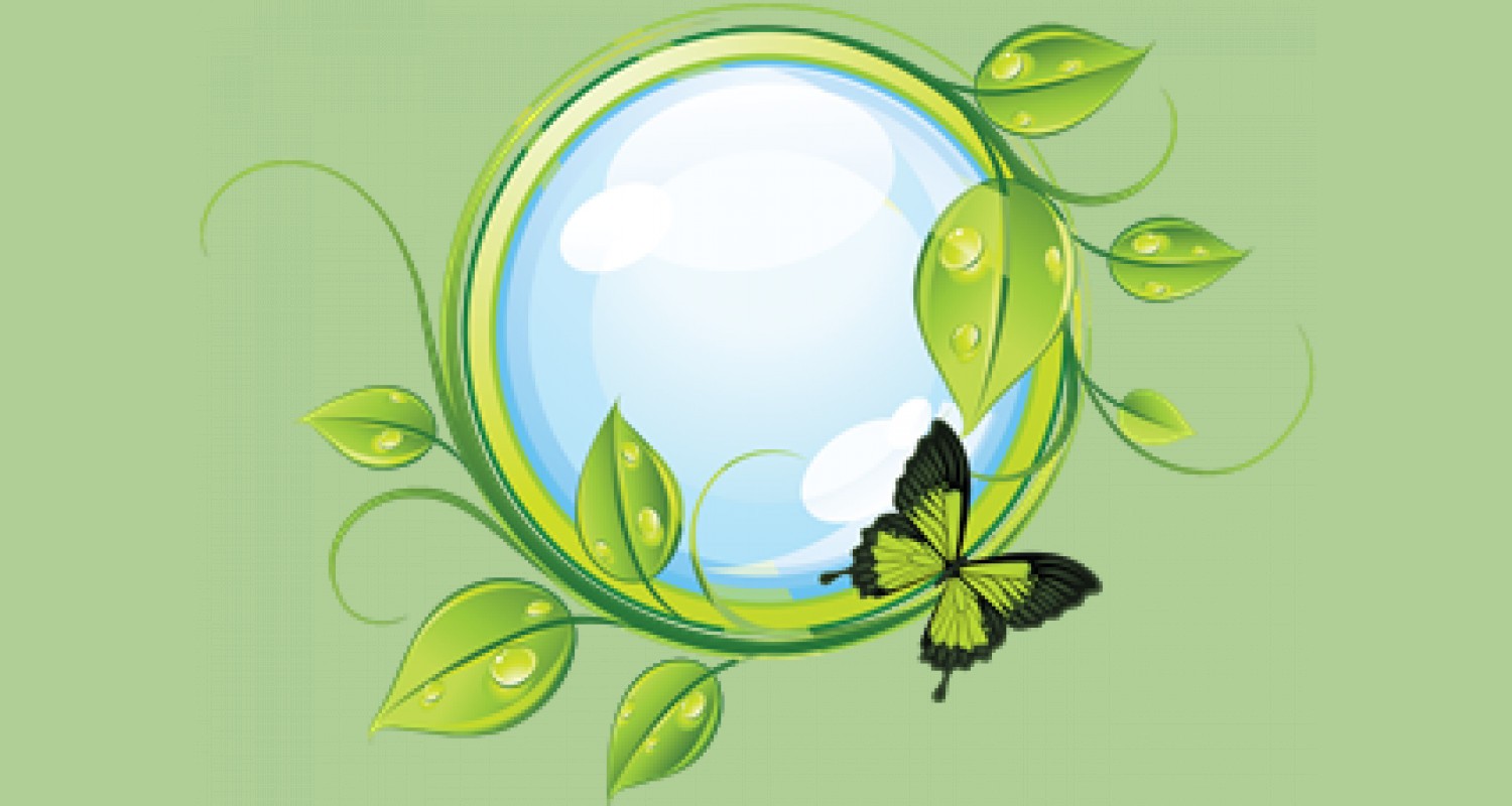 Экологическая рамка