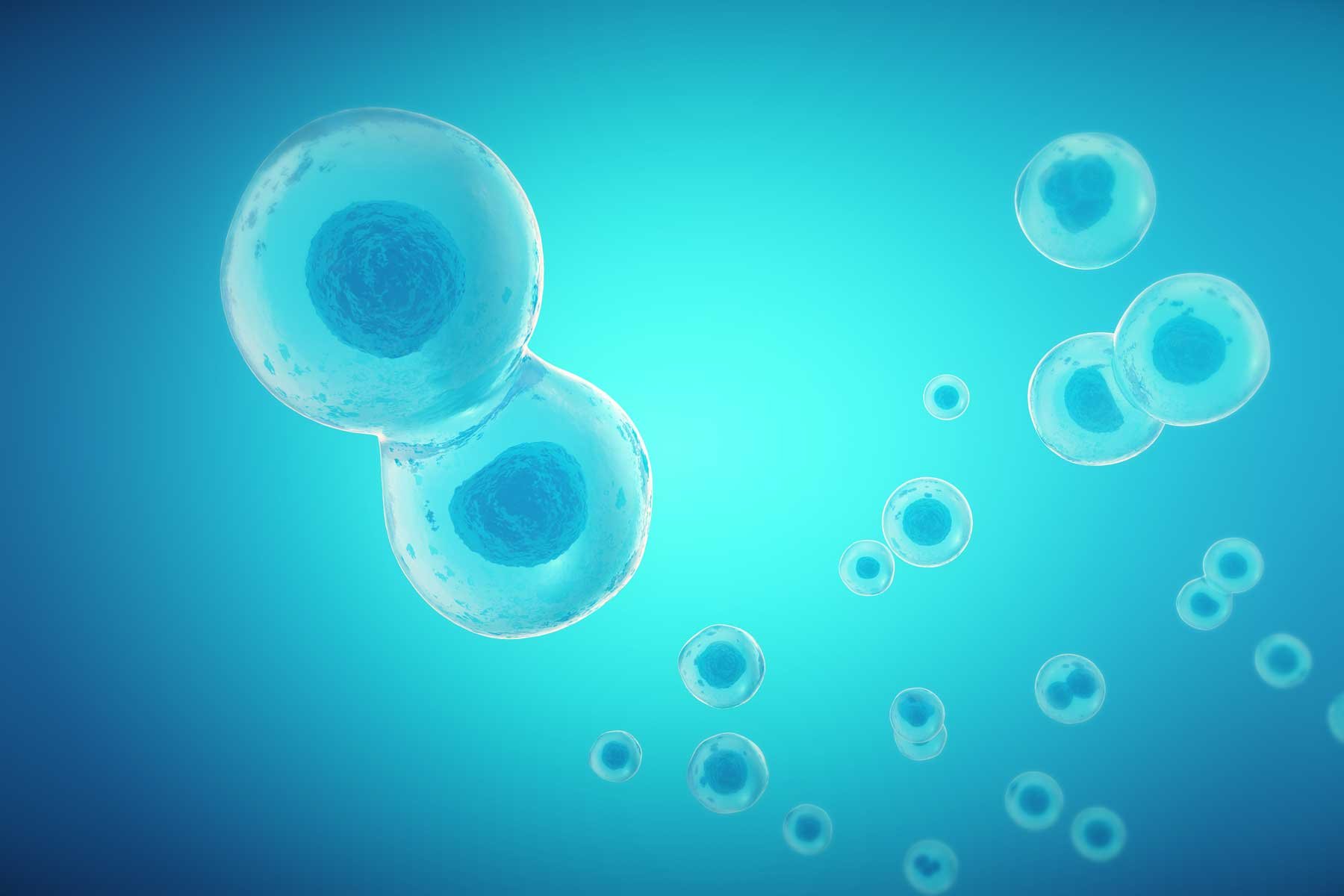 Голубая клетка биология