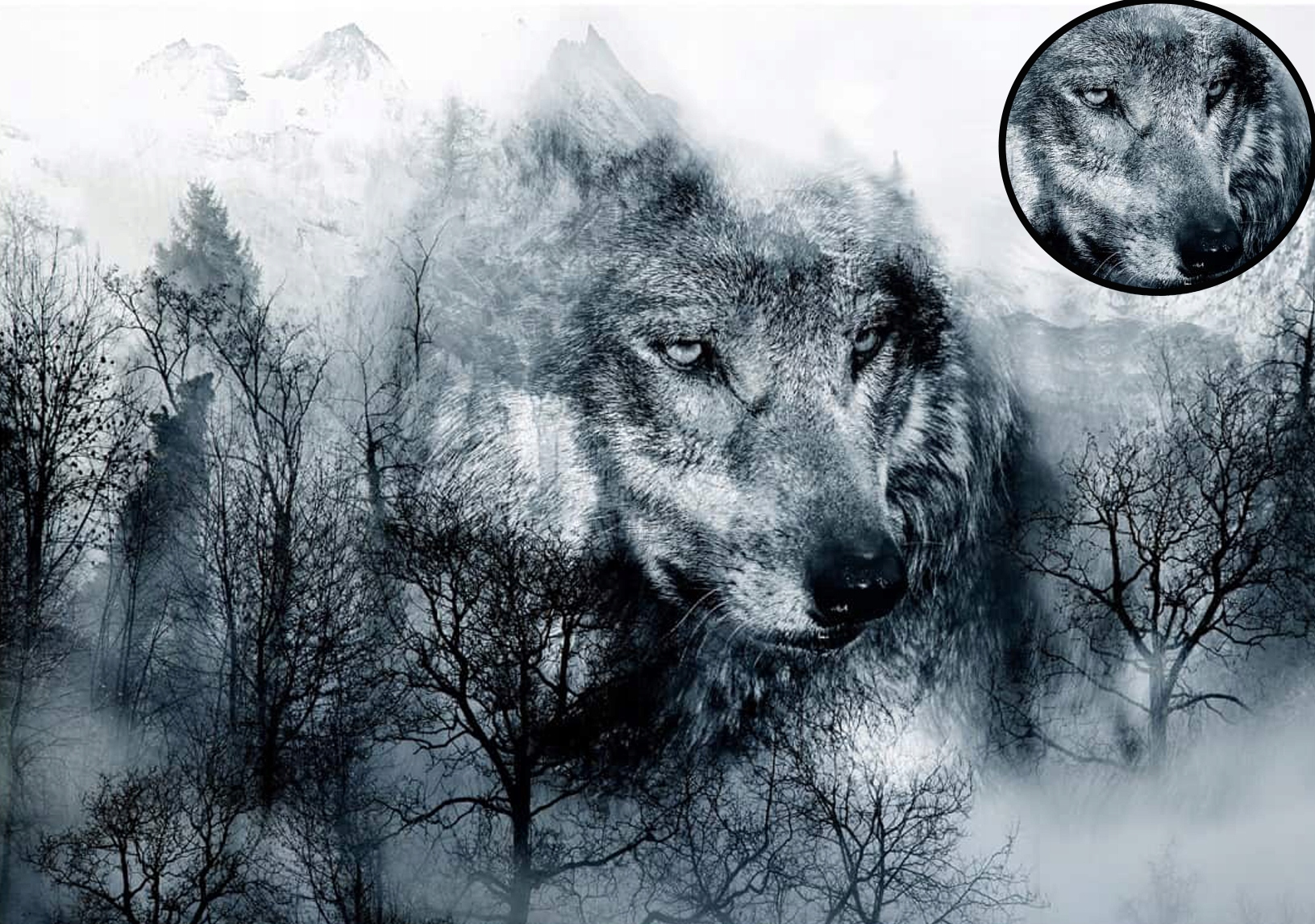 волк и горы картинки