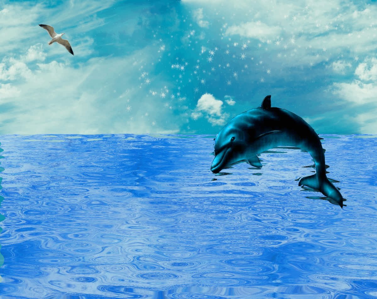 Живые дельфины в море
