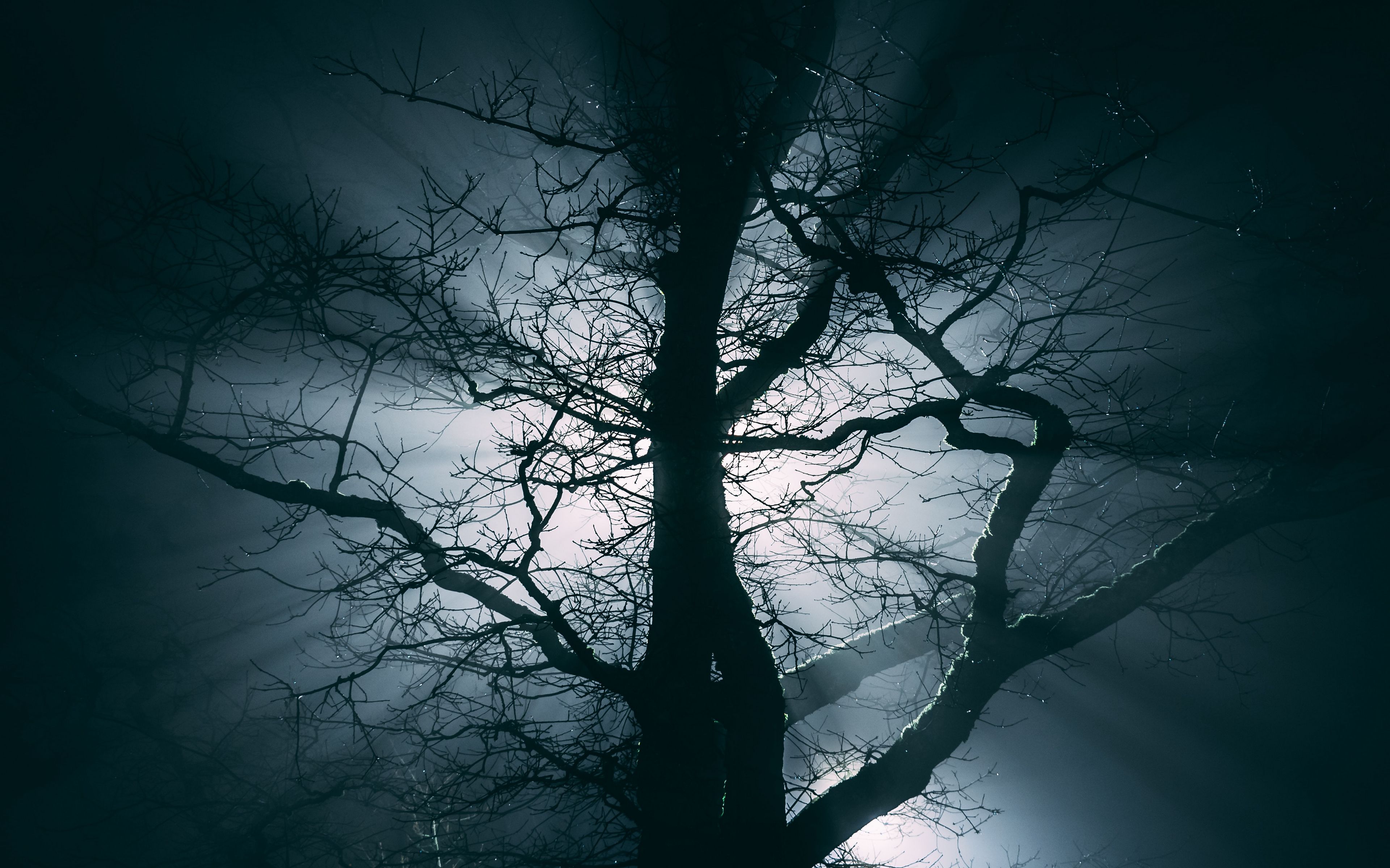 Фон темное дерево