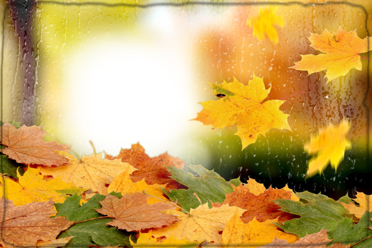 Рамка осень. Фоторамка листопад. Осенний фон с падающими листьями. Прозрачная осень