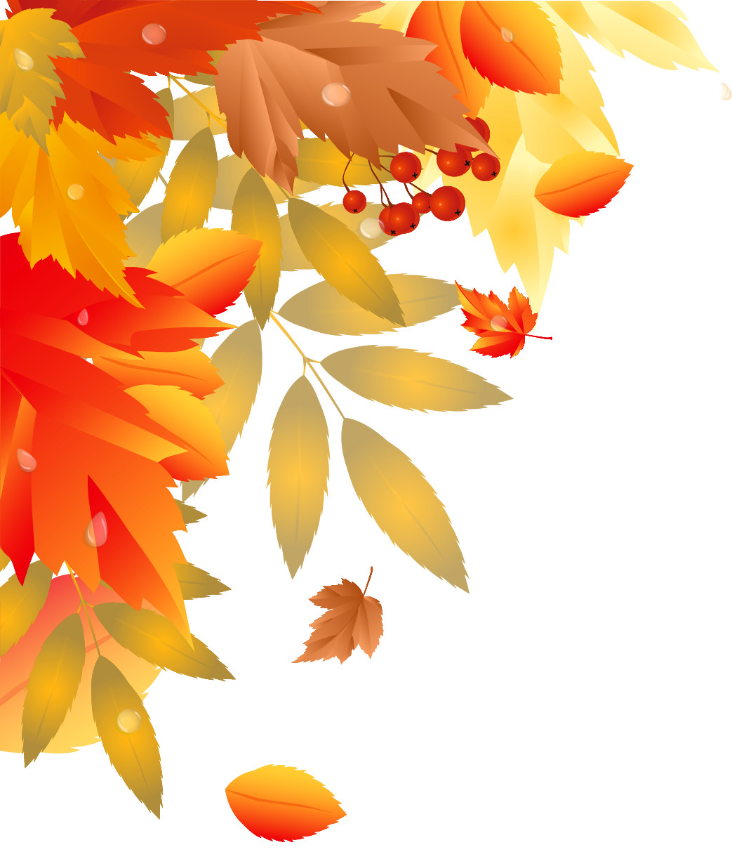 Осенние png. Осенние листья на прозрачном фоне. Осенний клипарт. Осенний фон. Осенний клипарт на прозрачном фоне.