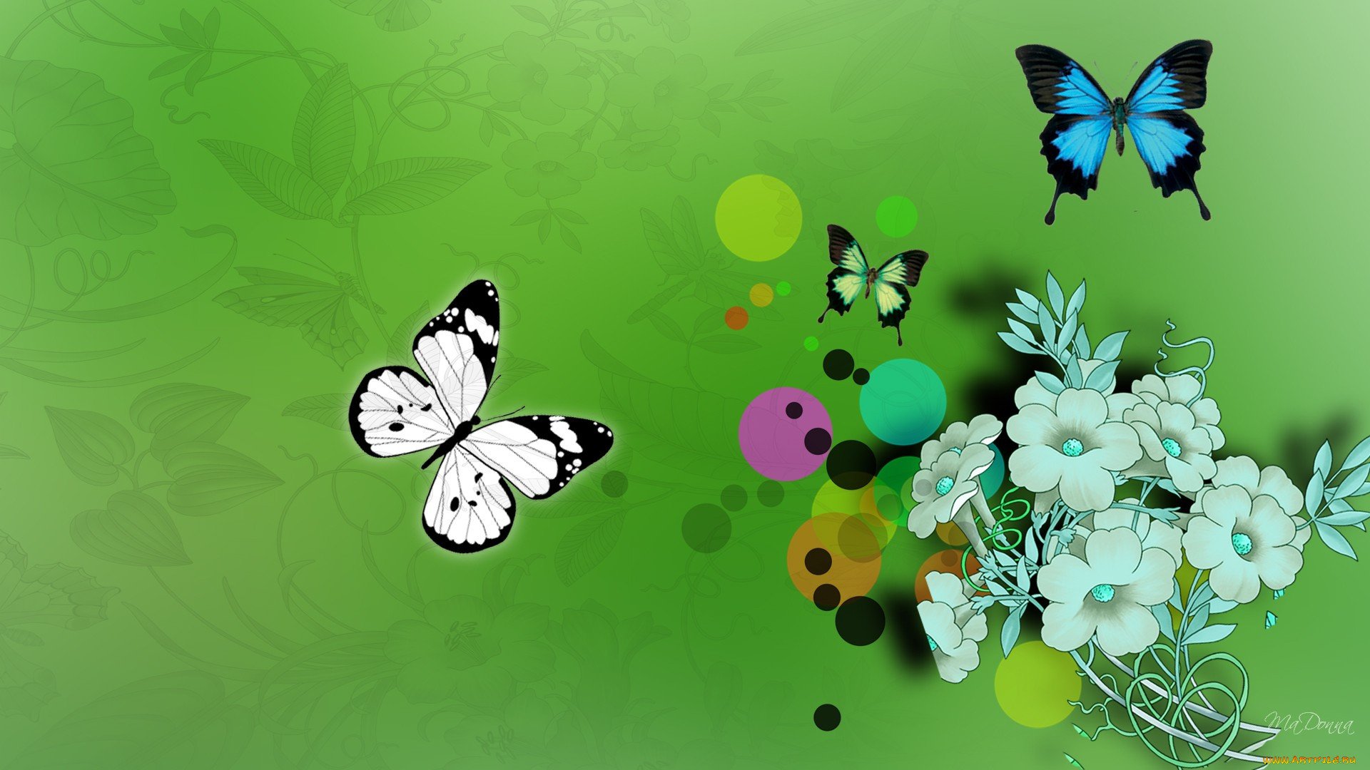 Цветок бабочка зеленый. Фон бабочки. Красивый фон с бабочками. Картинки на рабочий стол бабочки. Заставка на рабочий стол бабочки.