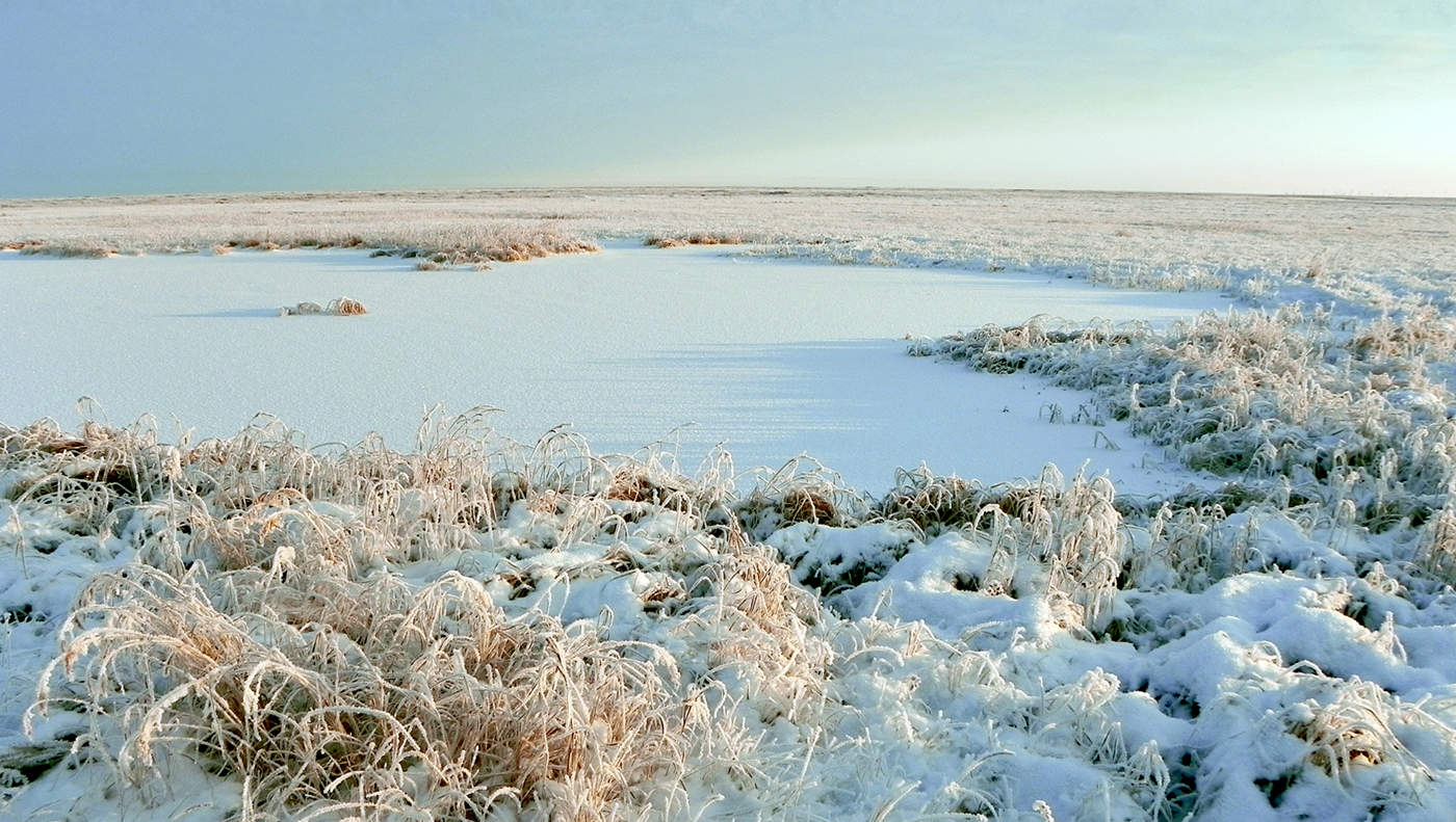Тундра зима Ненецкий автономный округ