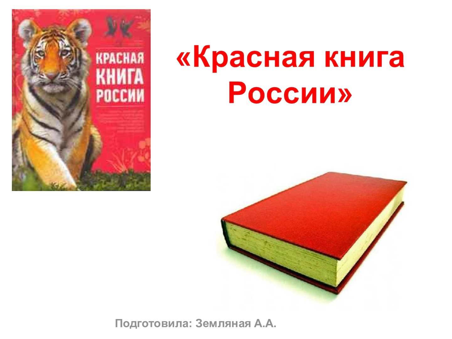 Фон Красная Книга Для Презентации