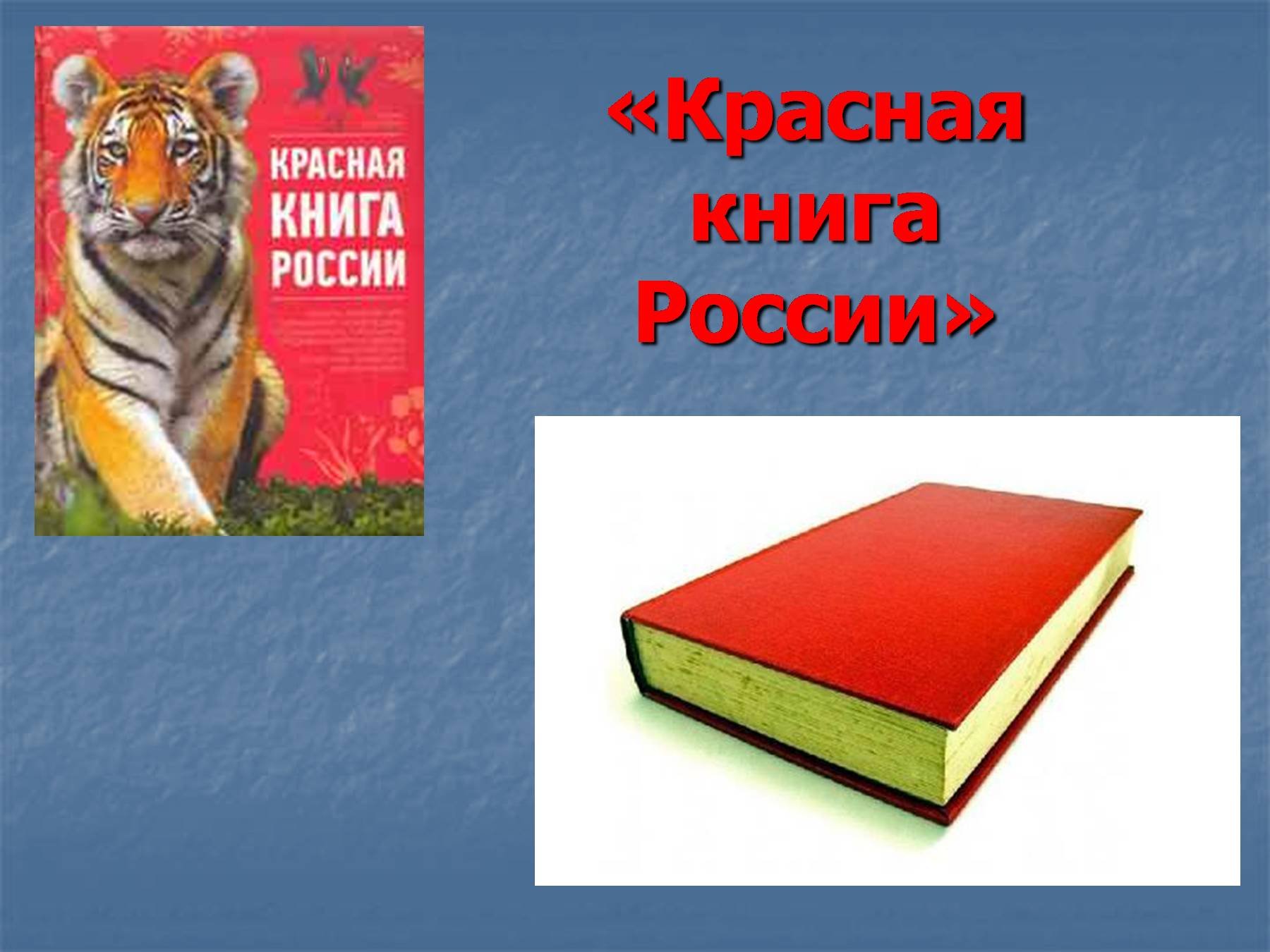 Красная книга презентация