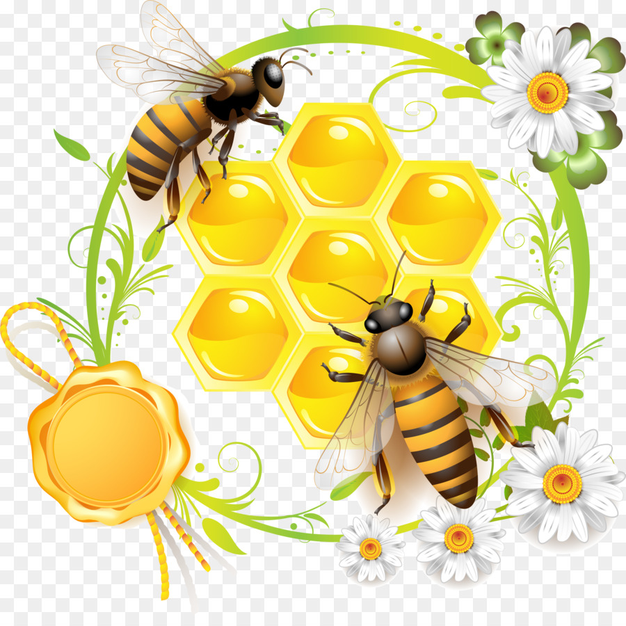 Соты пчел