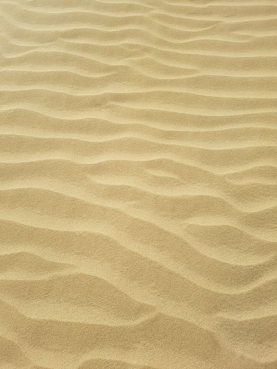 Светлый песок