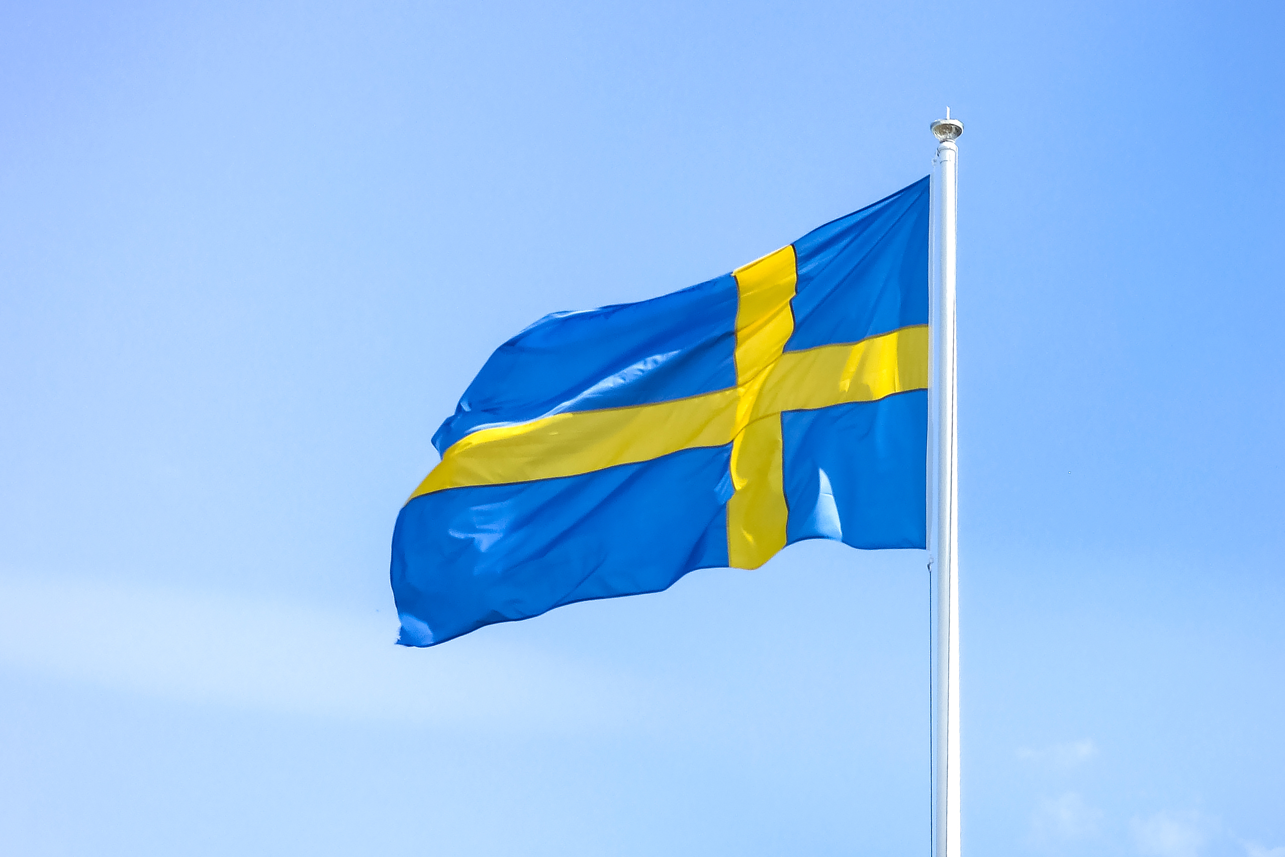 Шведы флаг