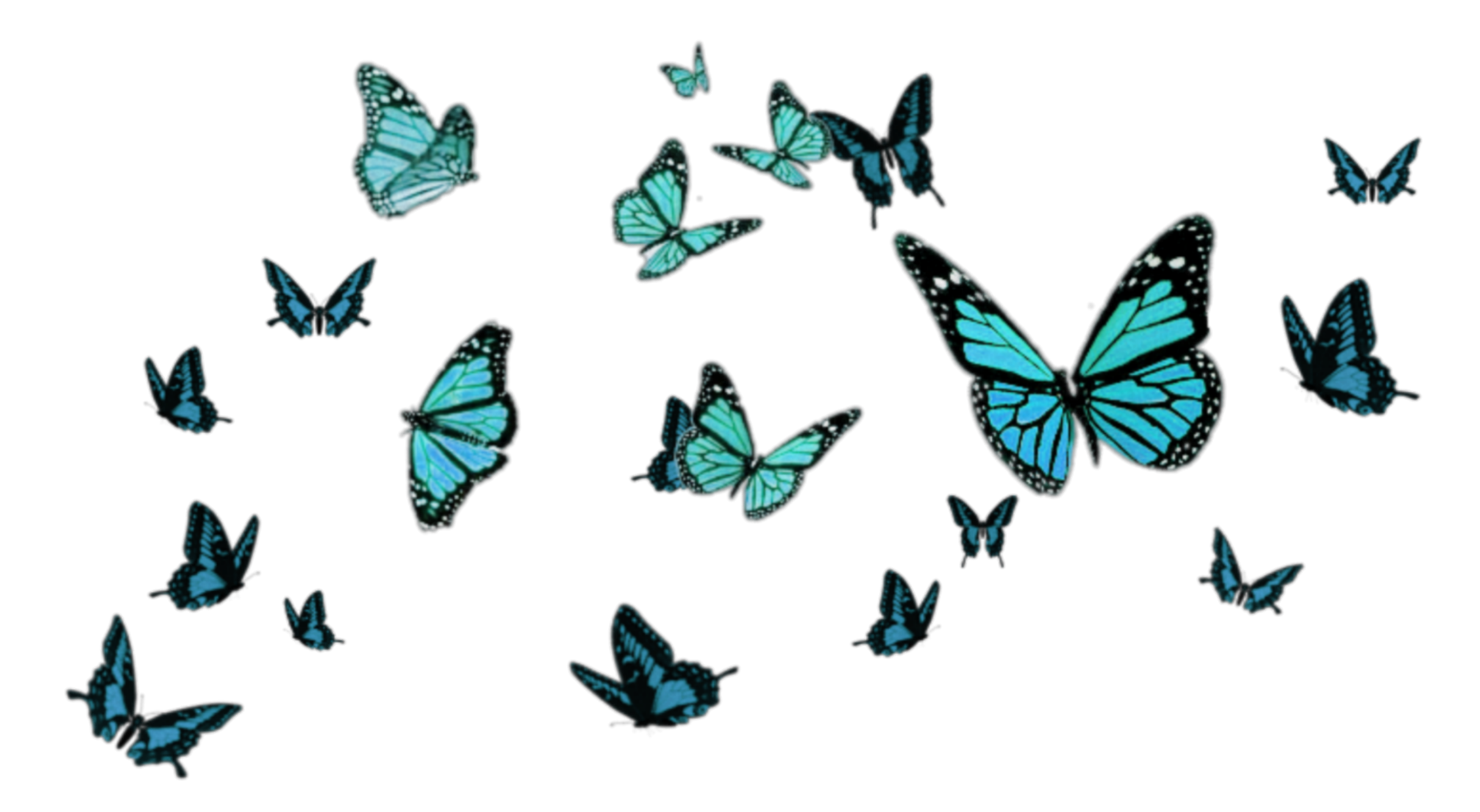 Бабочки летают вокруг. Много летающих бабочек. Несколько бабочек на прозрачном фоне. Стая бабочек. Летающие бабочки на прозрачном фоне.