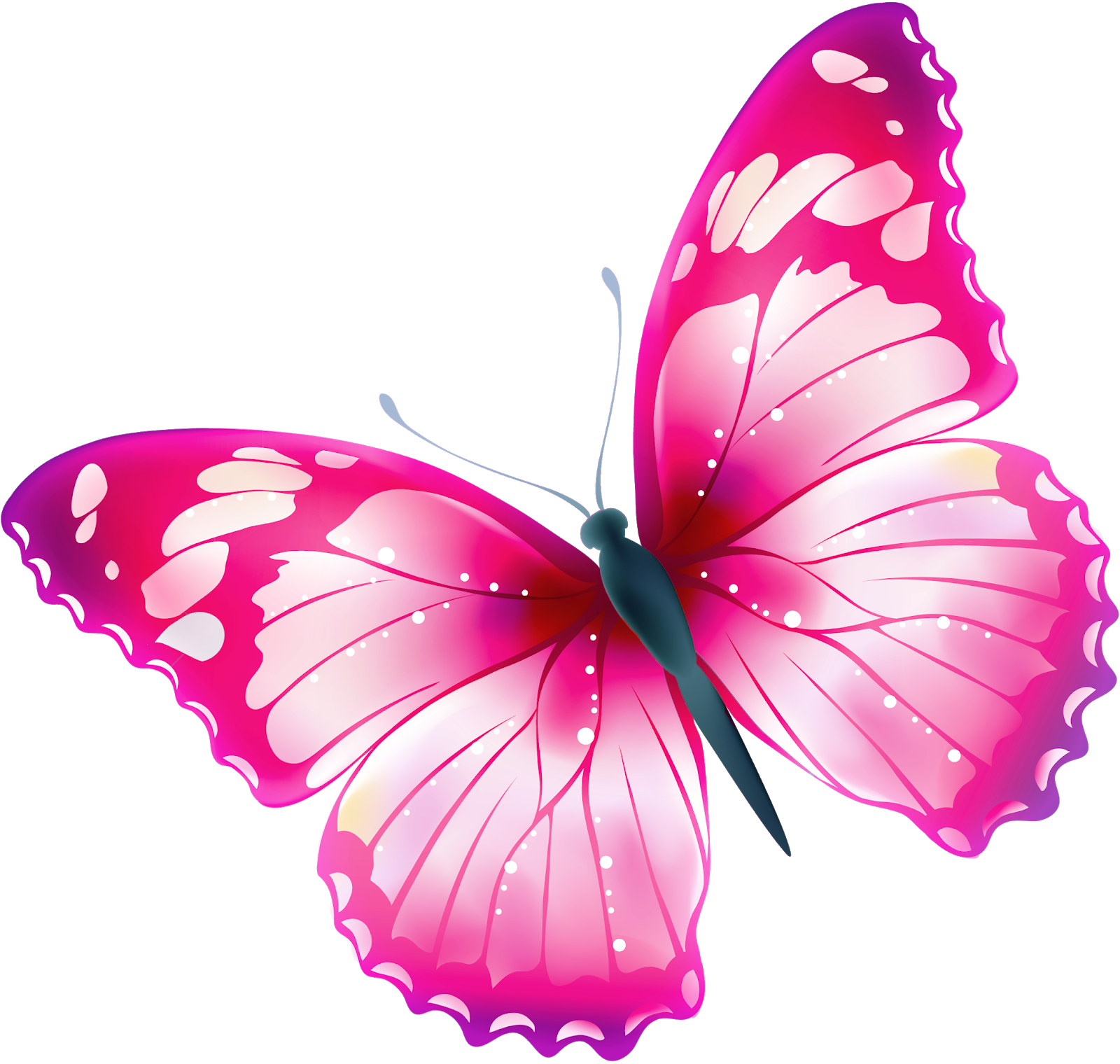 Розовые бабочки. Бабочки на белом фоне. Роза и бабочка. Розовые бабочки на белом фоне.