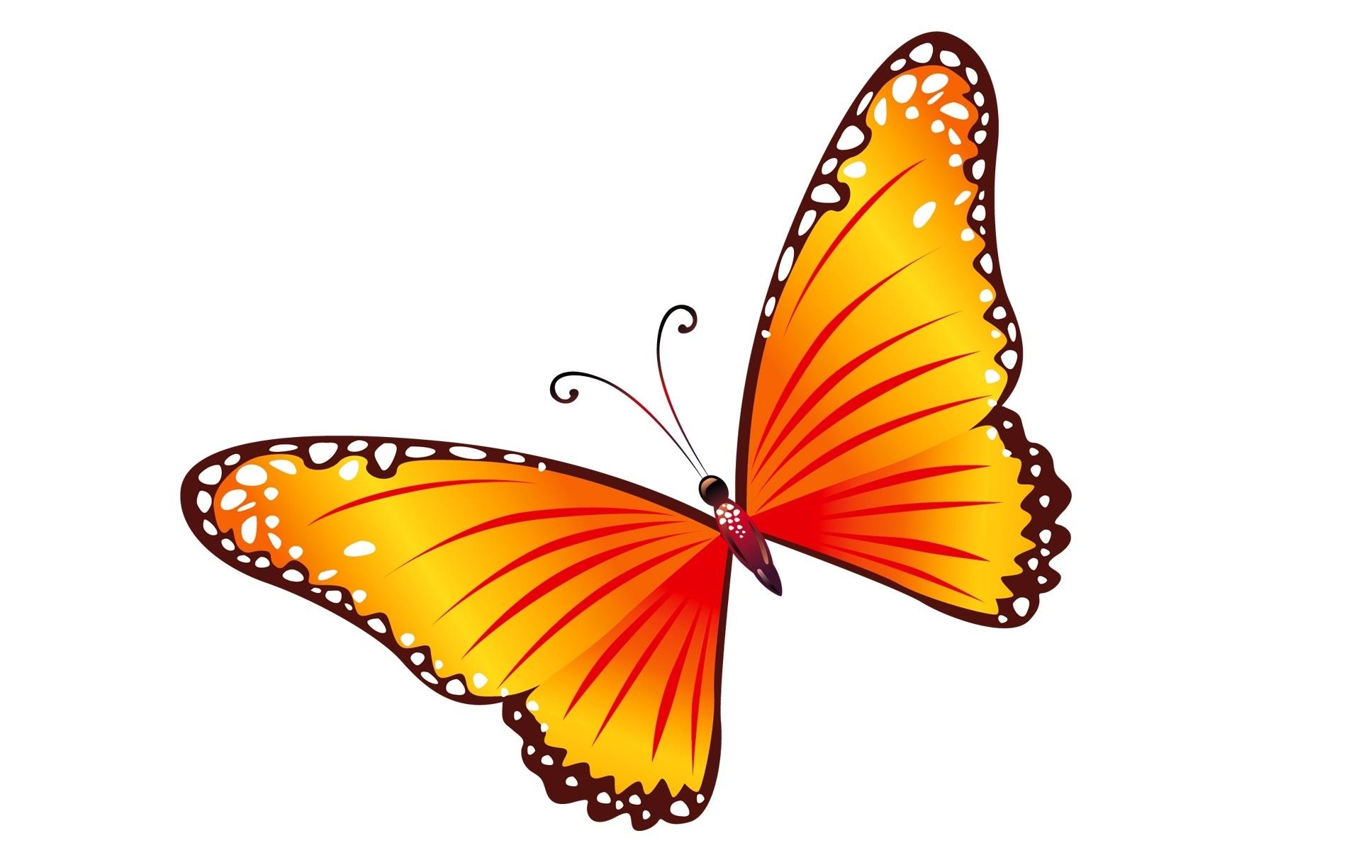 Бабочки нарисованные на прозрачном фоне