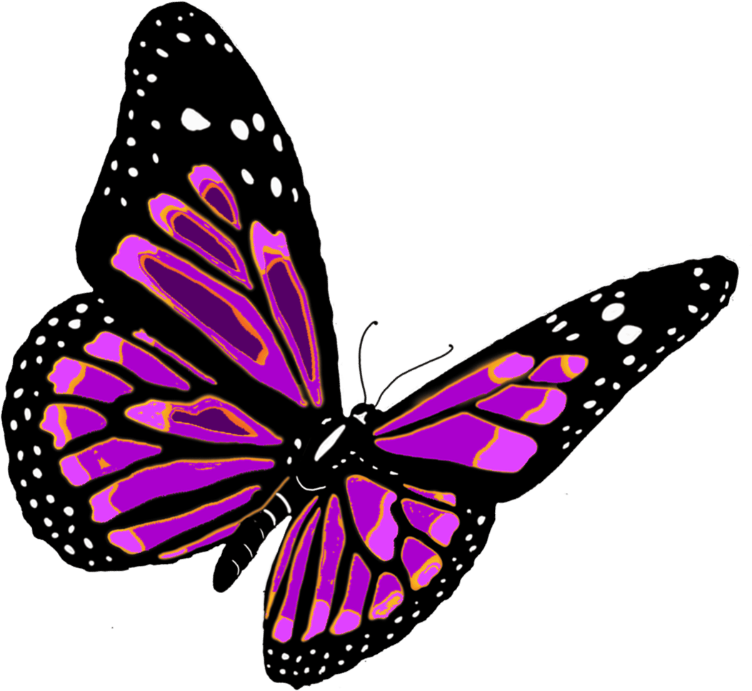 Фон бабочки png. Бабочки. Красивые бабочки на прозрачном фоне. Бабочка без фона. Бабочка рисунок.