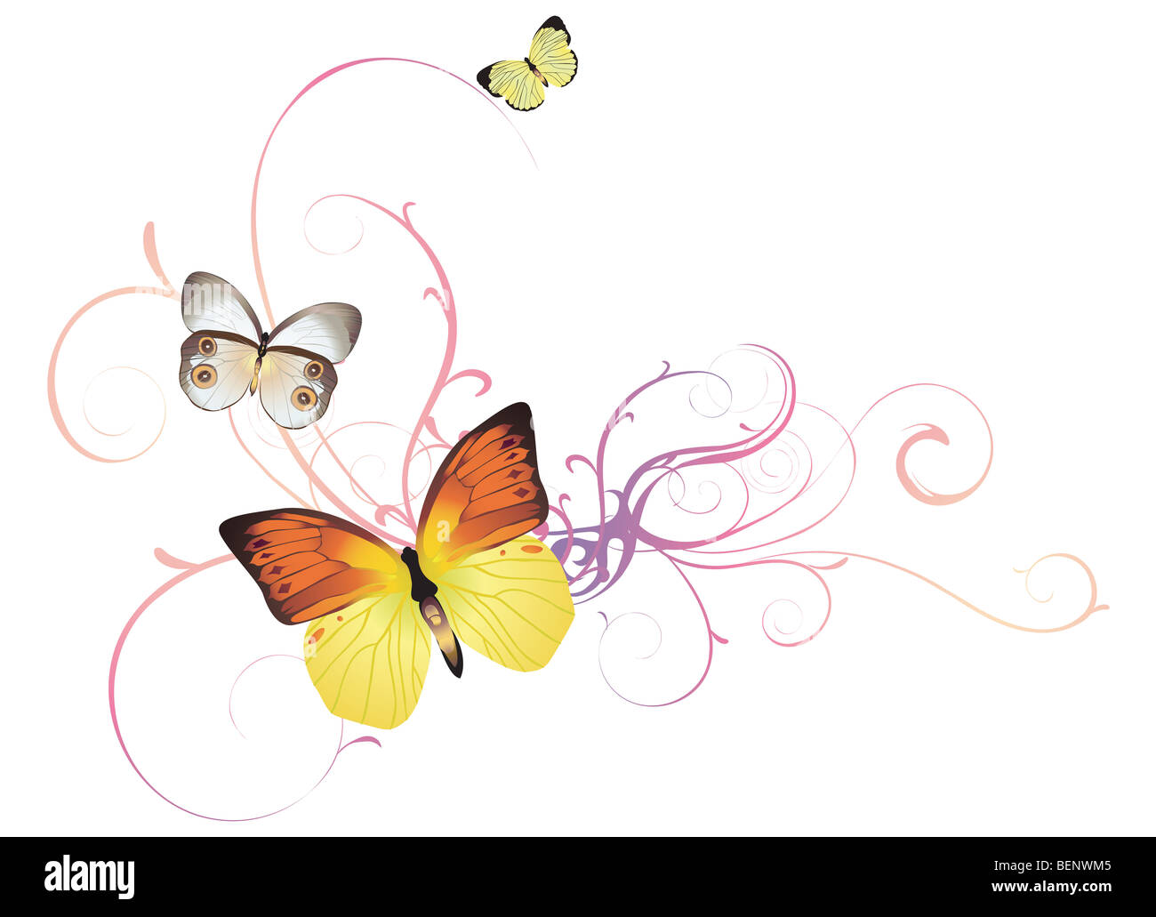 Фон с бабочками для фотошопа на прозрачном фоне