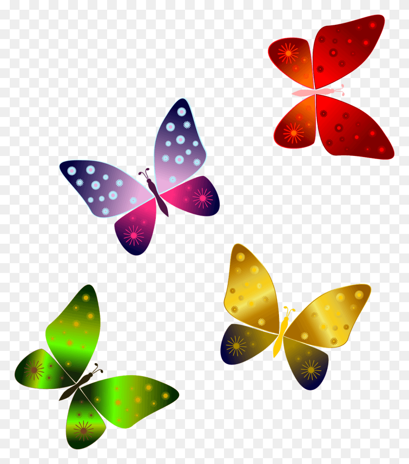 Волшебные бабочки на белом фоне