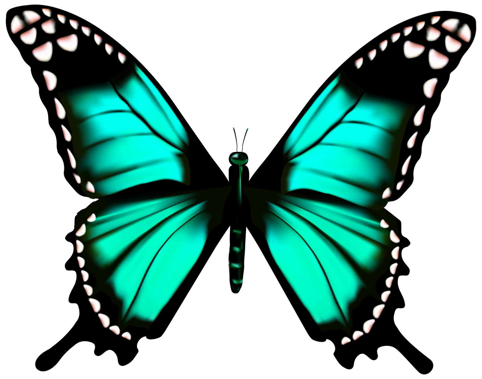 Бабочки. Бабочки для фотошопа. Бирюзовые бабочки. Бабачкина прозрачном фоне.